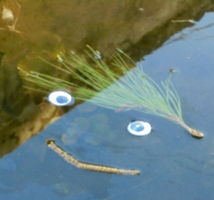 003.jpeg