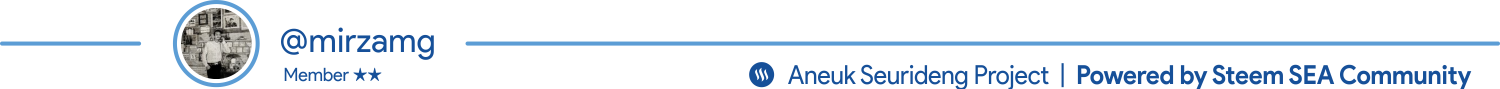 mirzamg.png