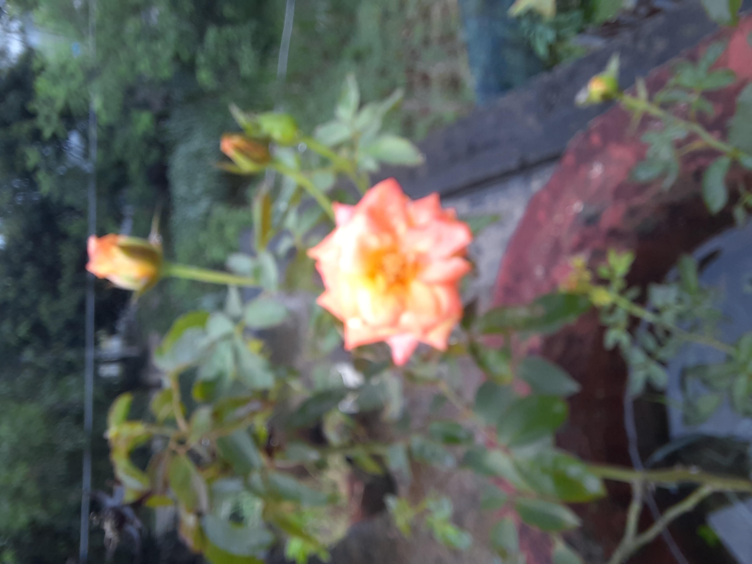 20230825_075906.jpg