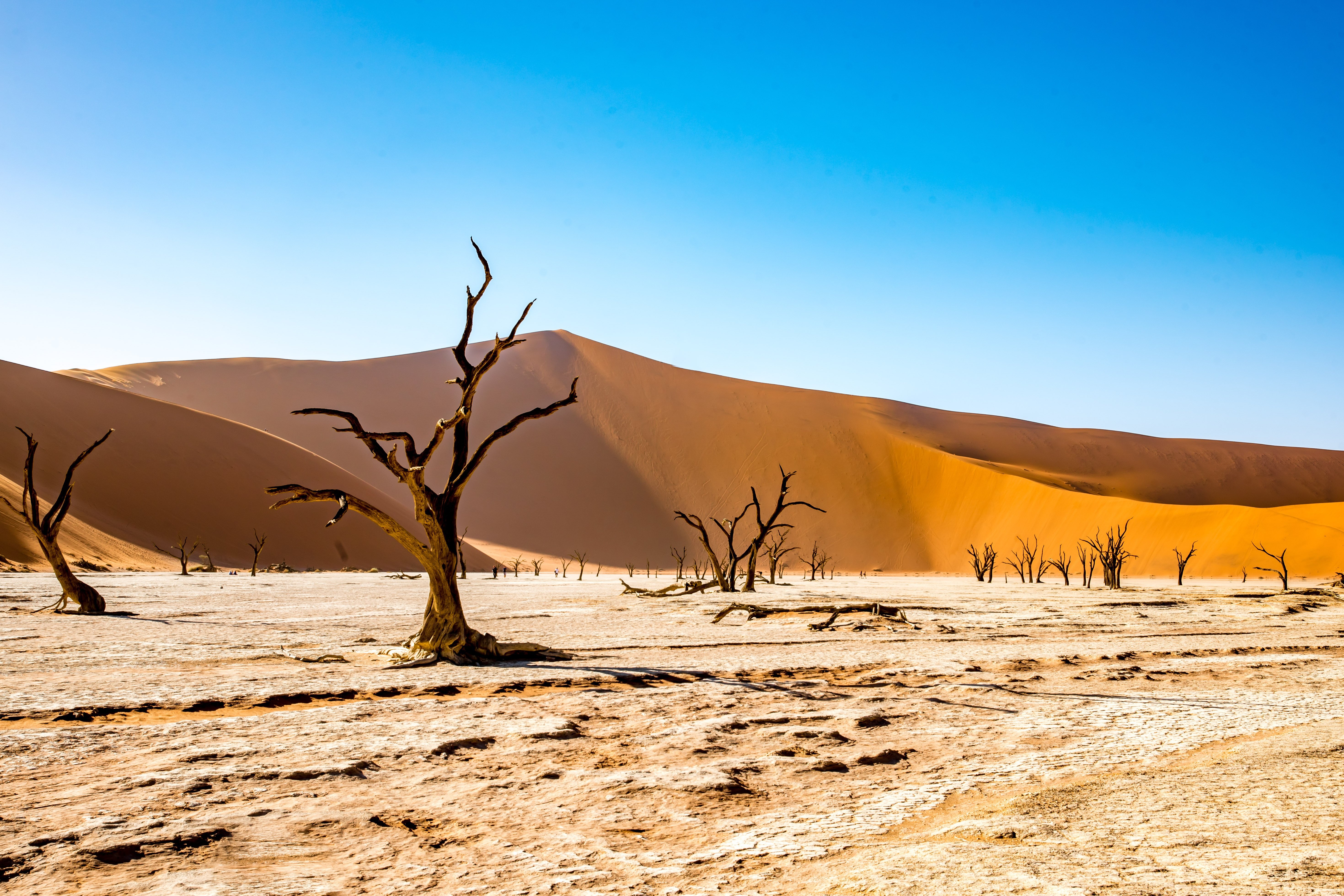 tonw-namibia-4790487.jpg