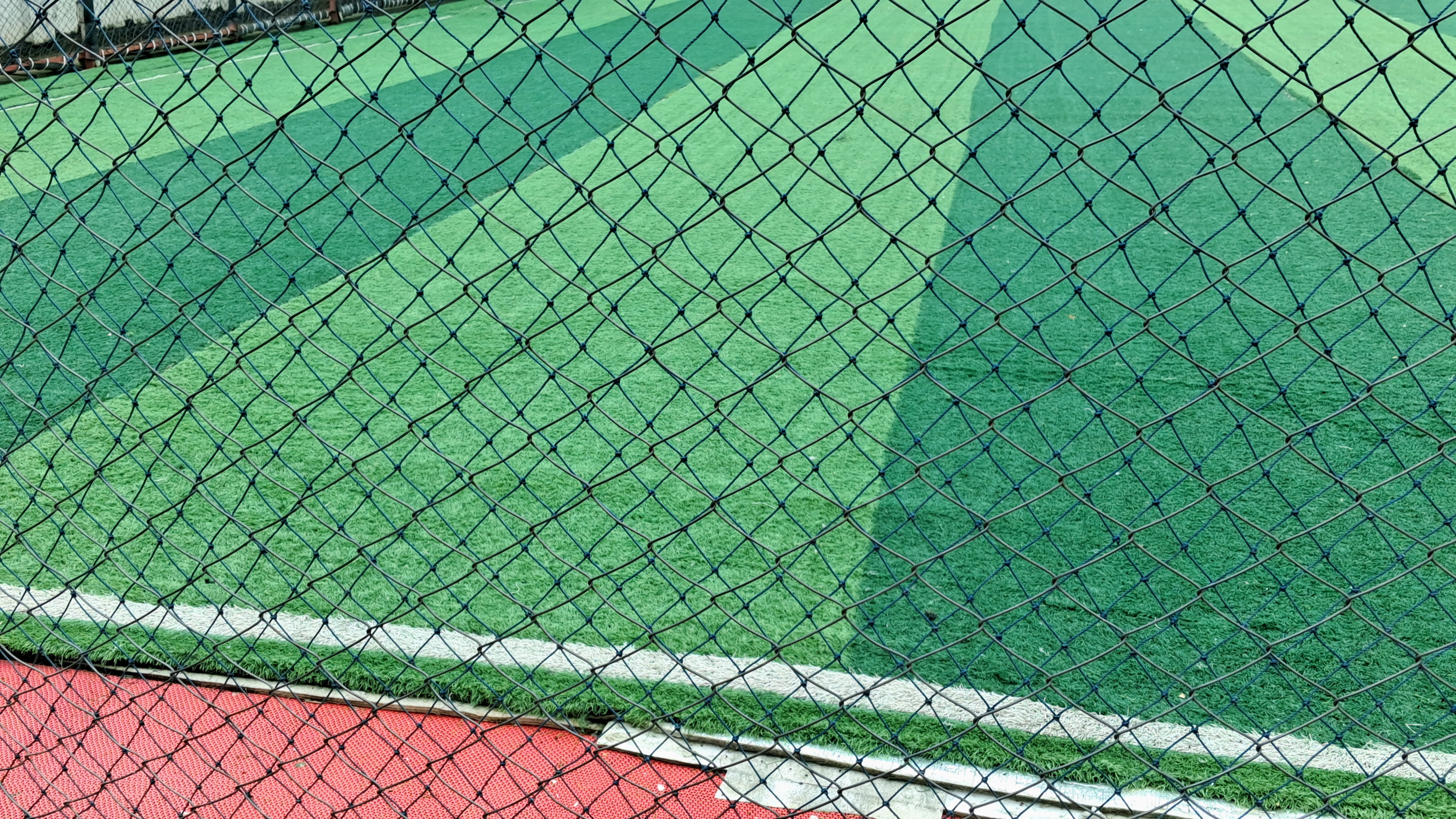 1000295560.jpg