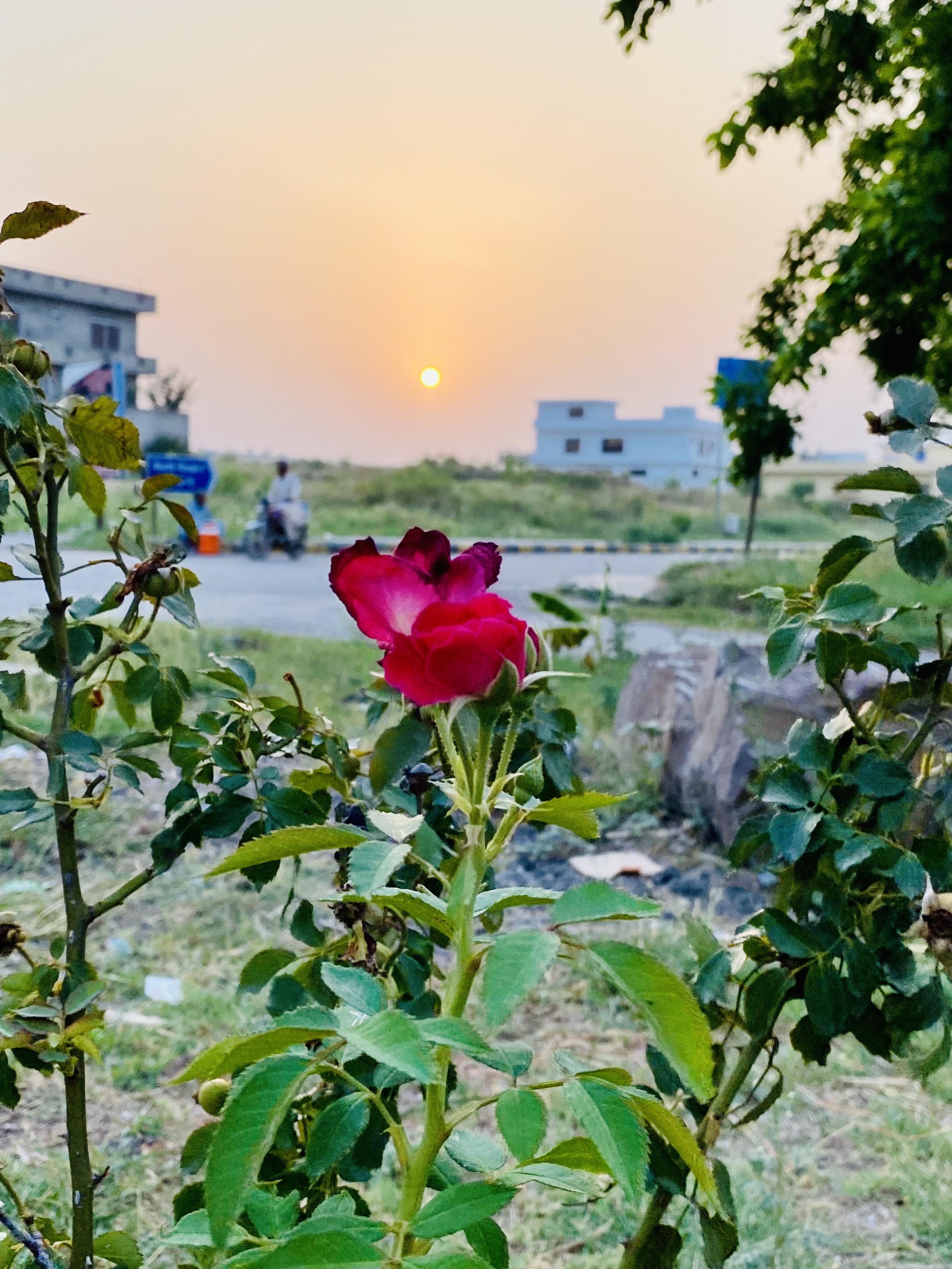 IMG_0322.jpeg