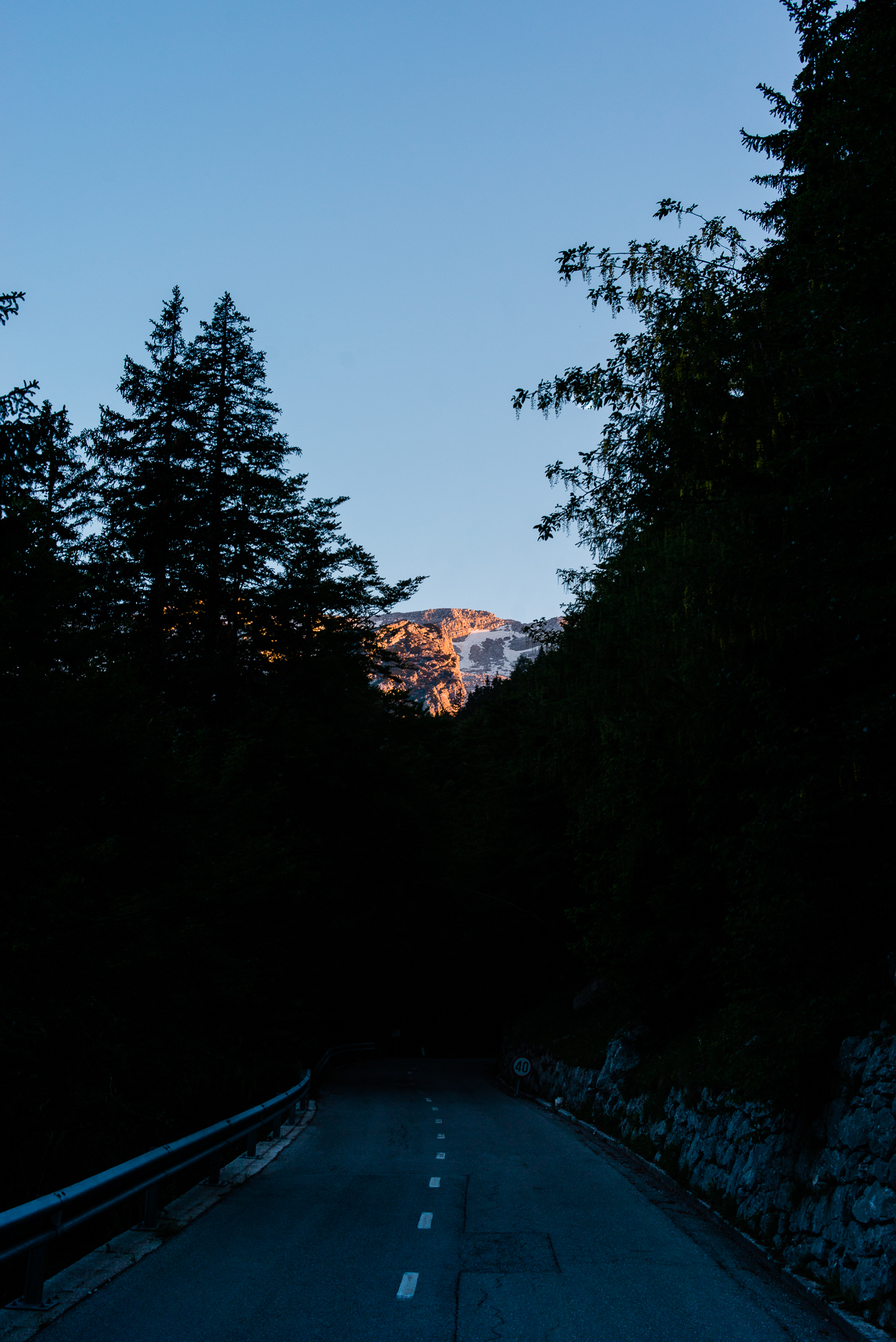 pf- (60 of 65).jpg