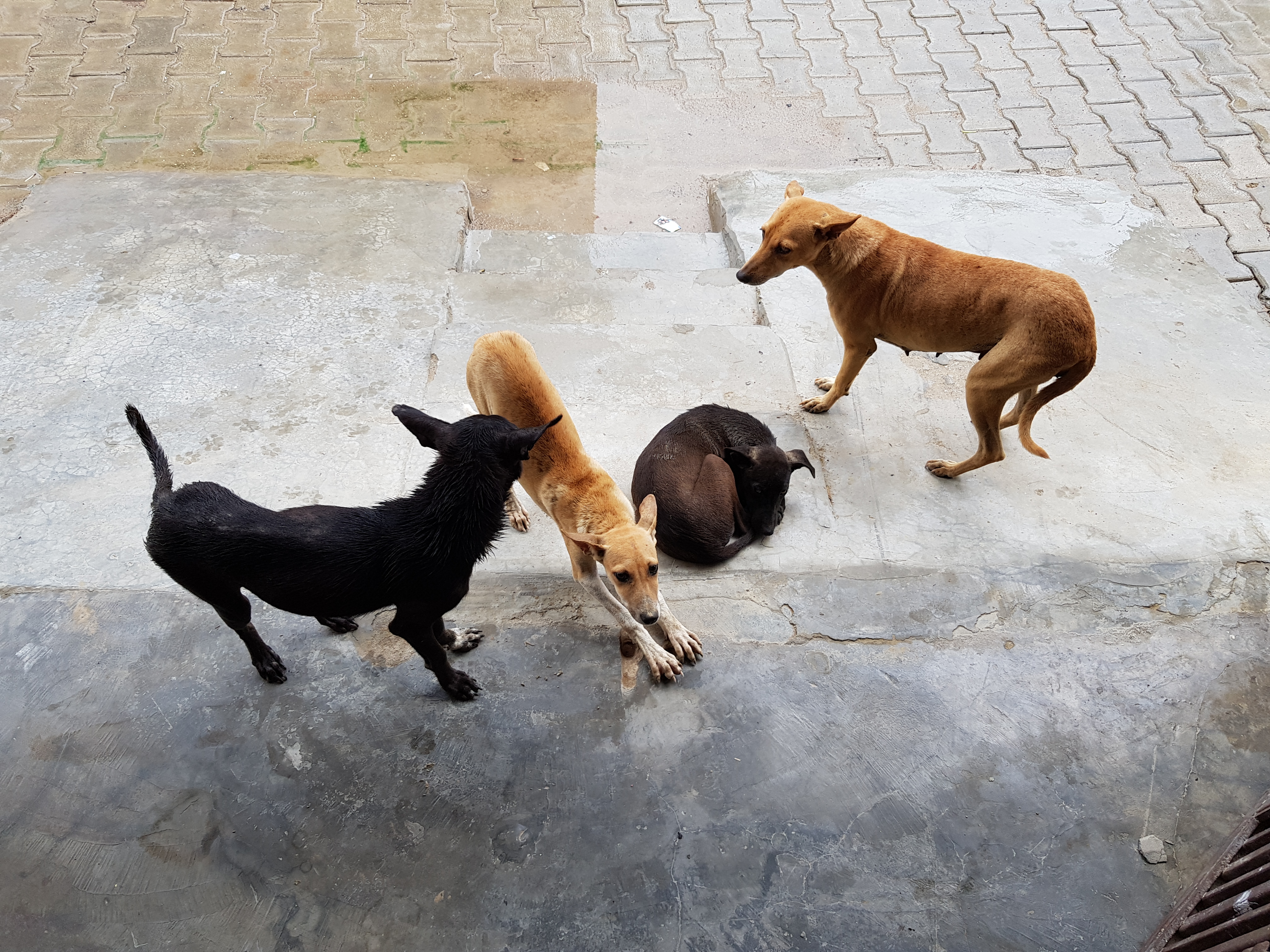 20180702_100503.jpg