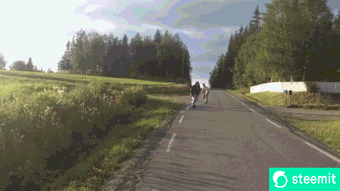 1029.gif