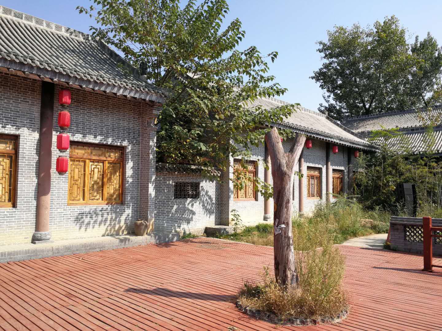 mmexport1543377760398.jpg