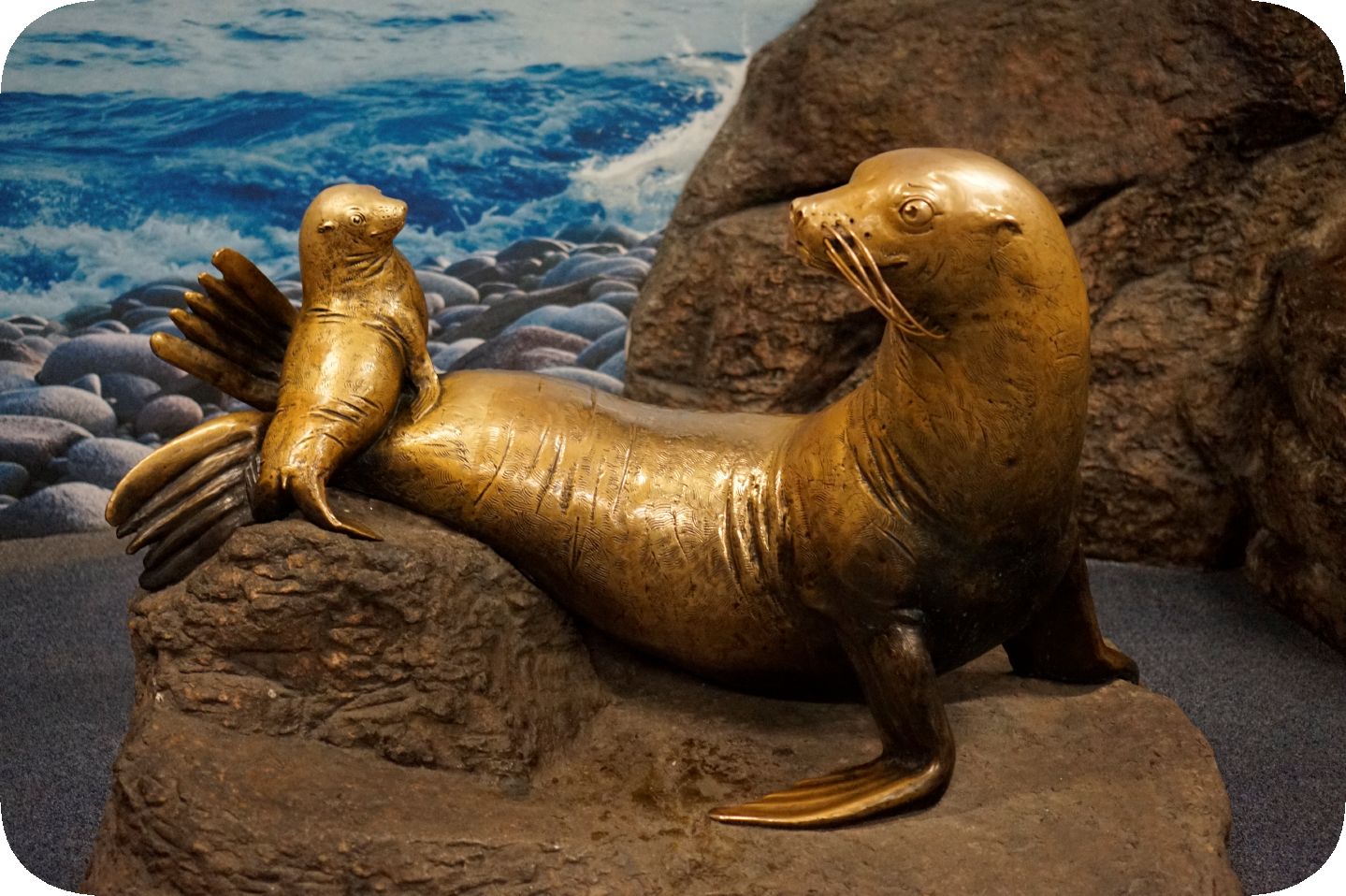 Oceanarium in St. Petersburg. The final---Ozeanarium in St. Petersburg. Der endgültige