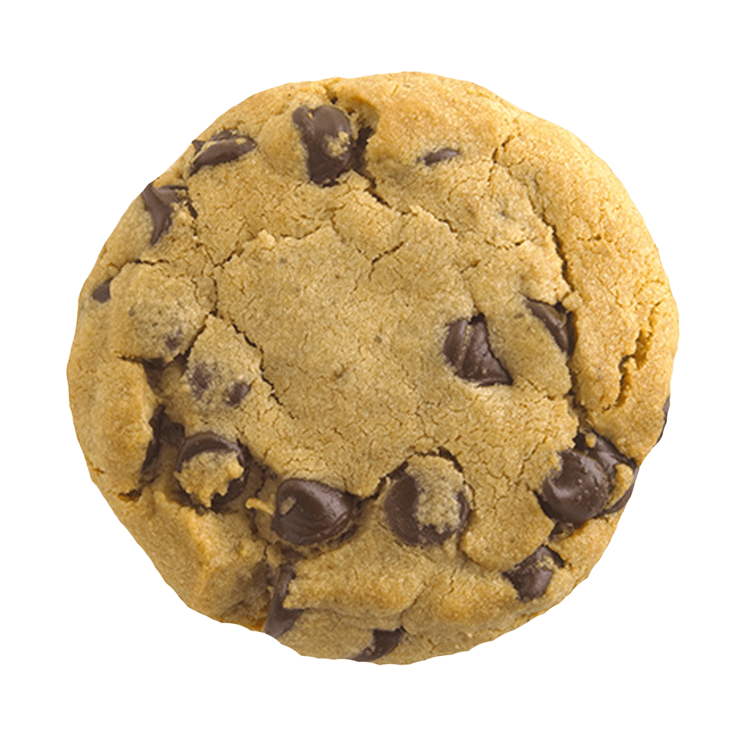 image.png