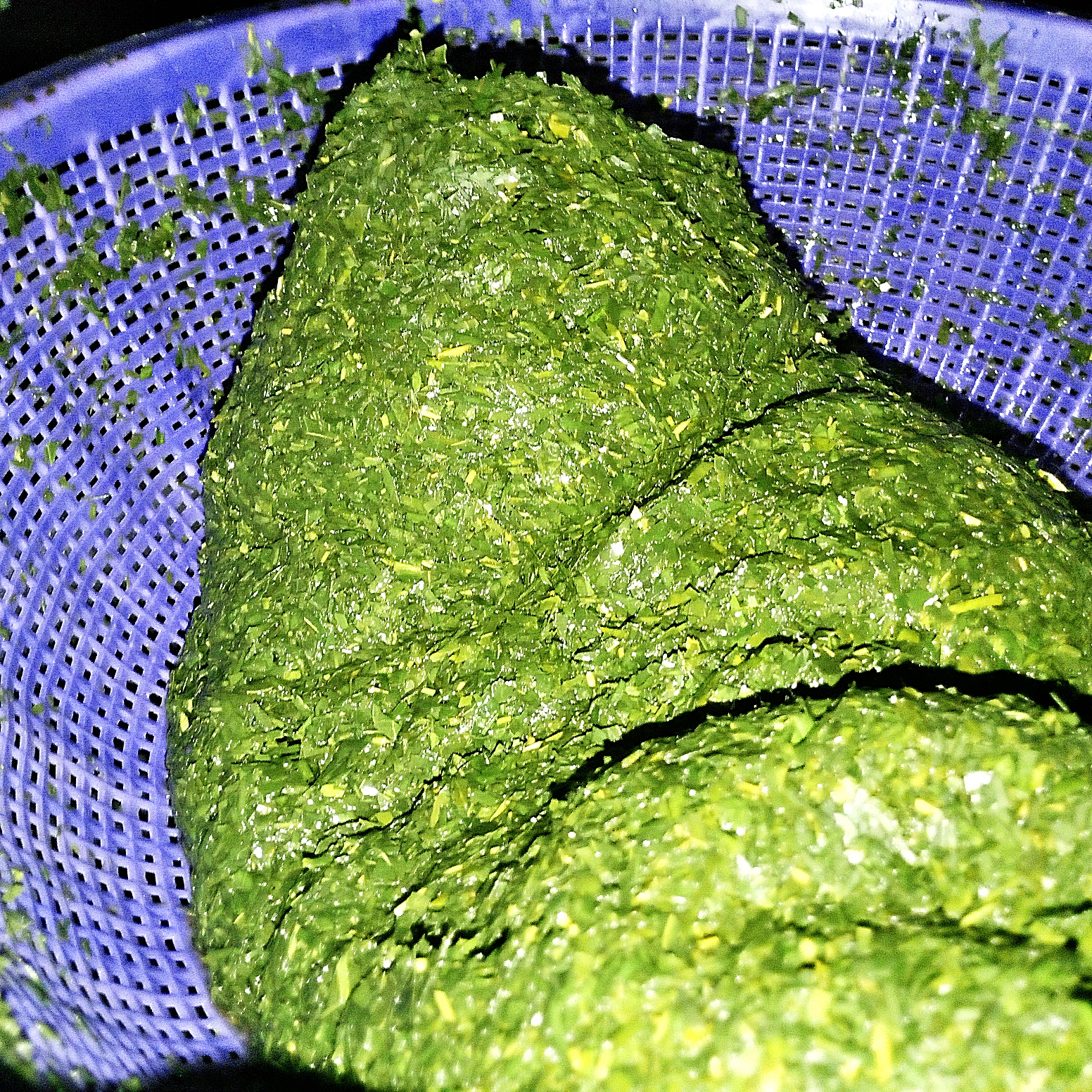 1710018435660.jpg