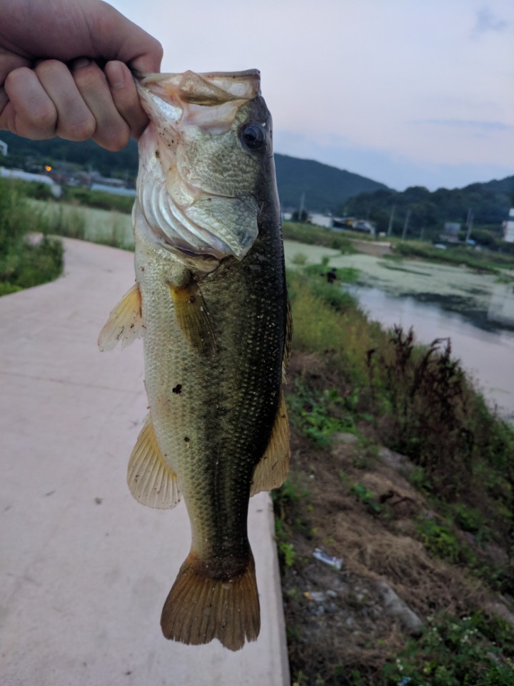 KakaoTalk_20180726_090307853.jpg