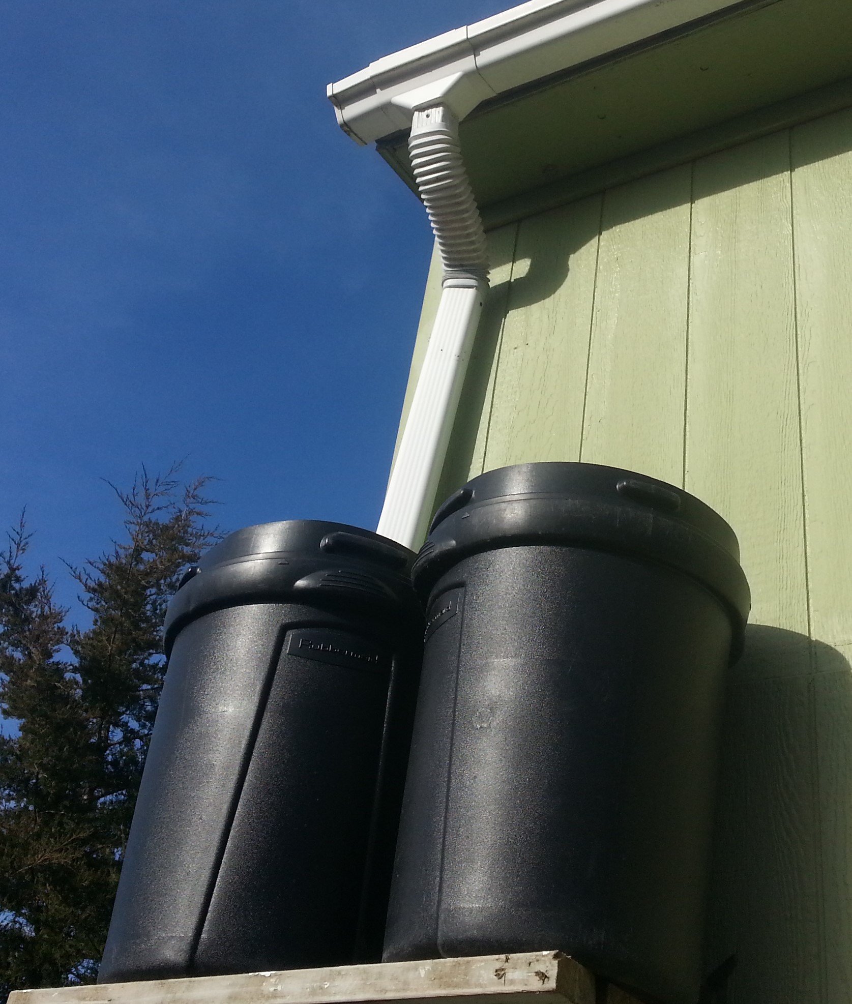 back_downspout2.jpg