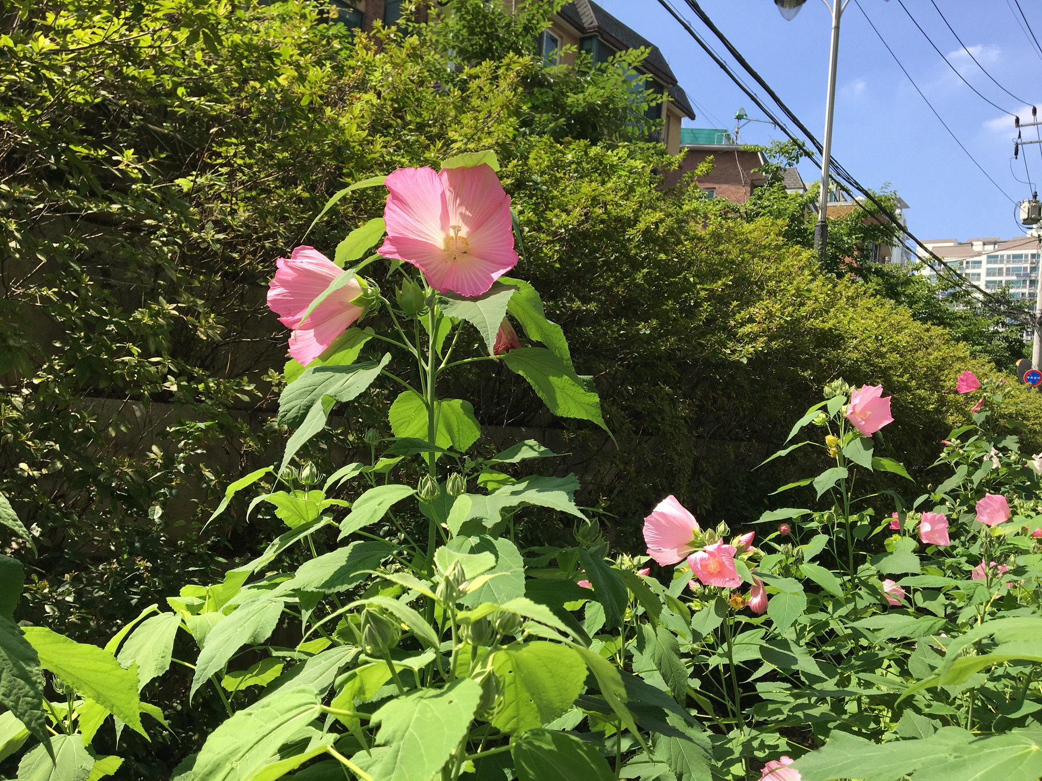 318B8EAA-1BF2-4344-A6B3-1604C9AF9F06.jpeg