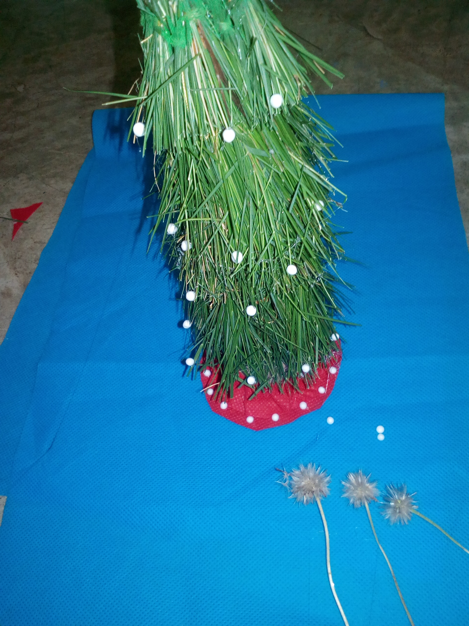 IMG_20211210_135638.jpg