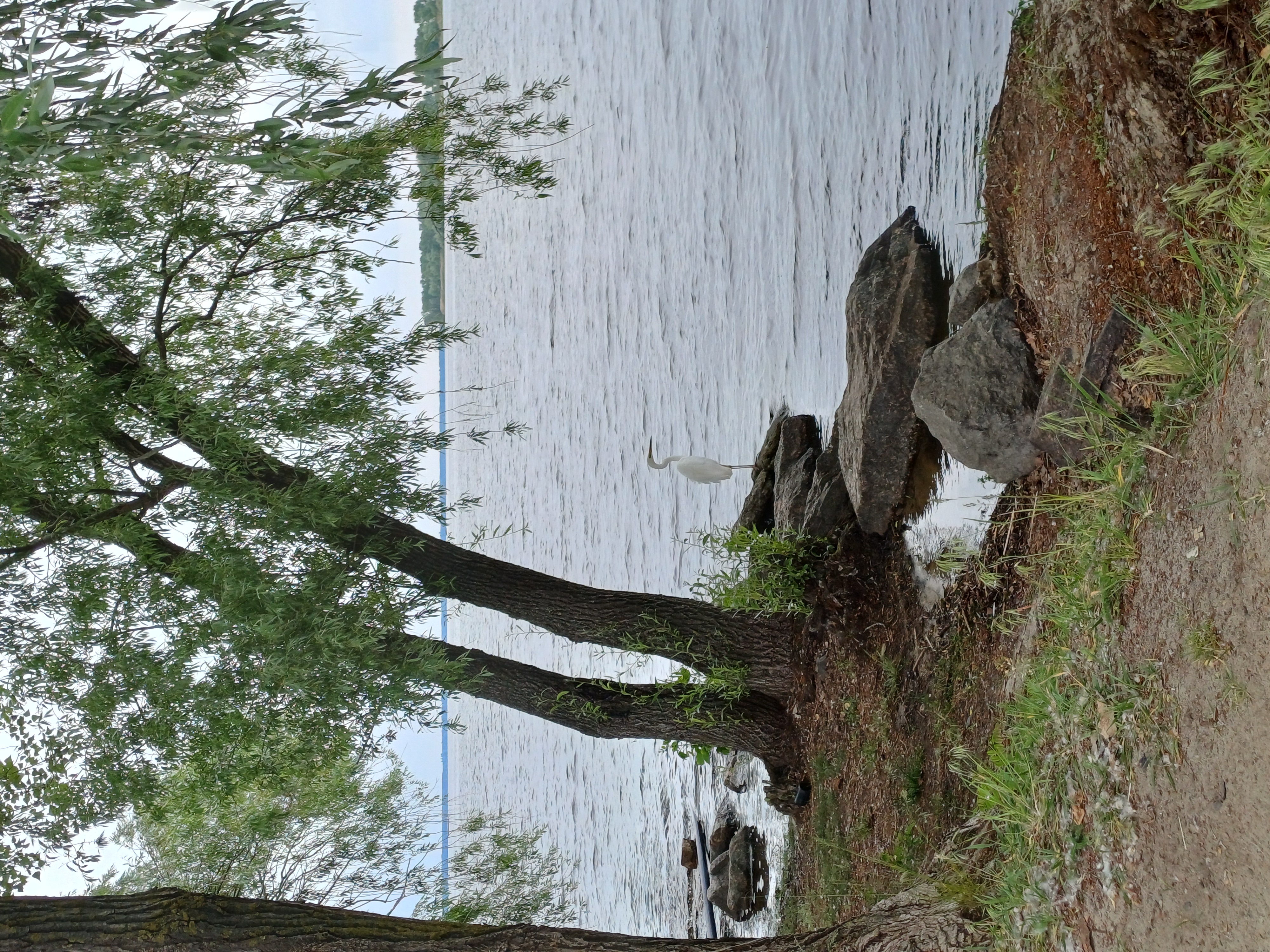 20260603_081907.jpg