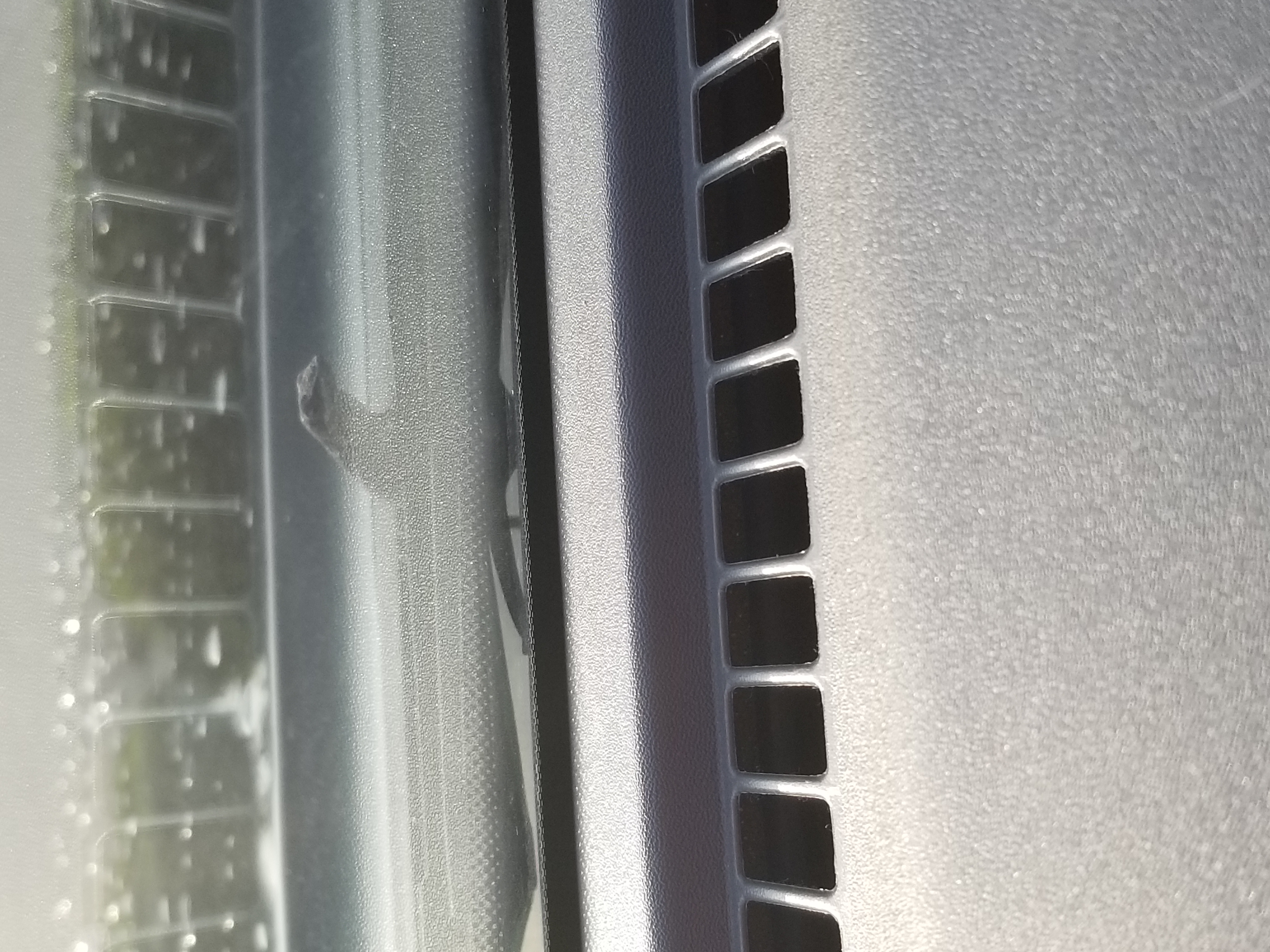 20180621_075650.jpg