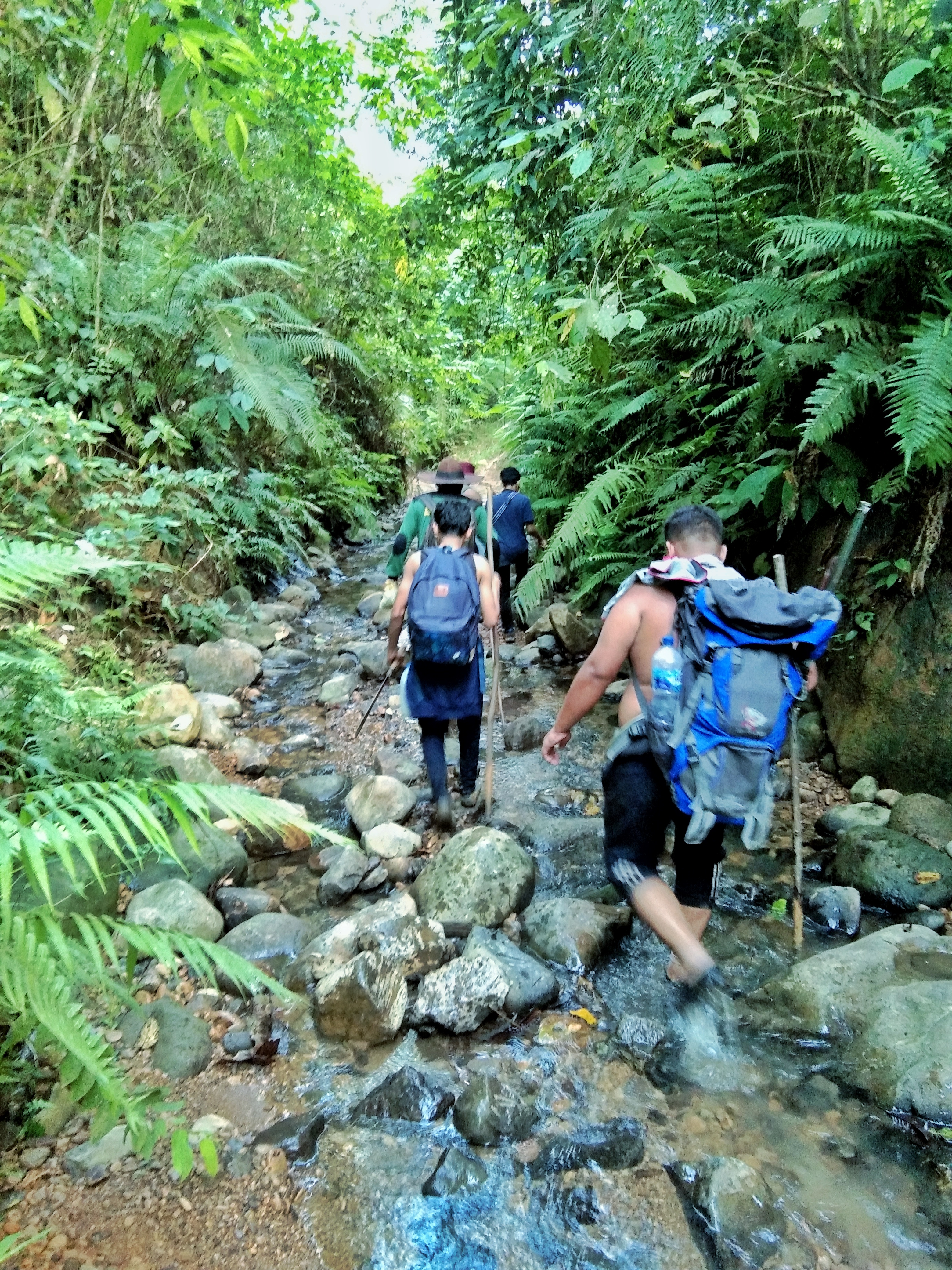 IMG-20210101-WA0000-01.jpeg