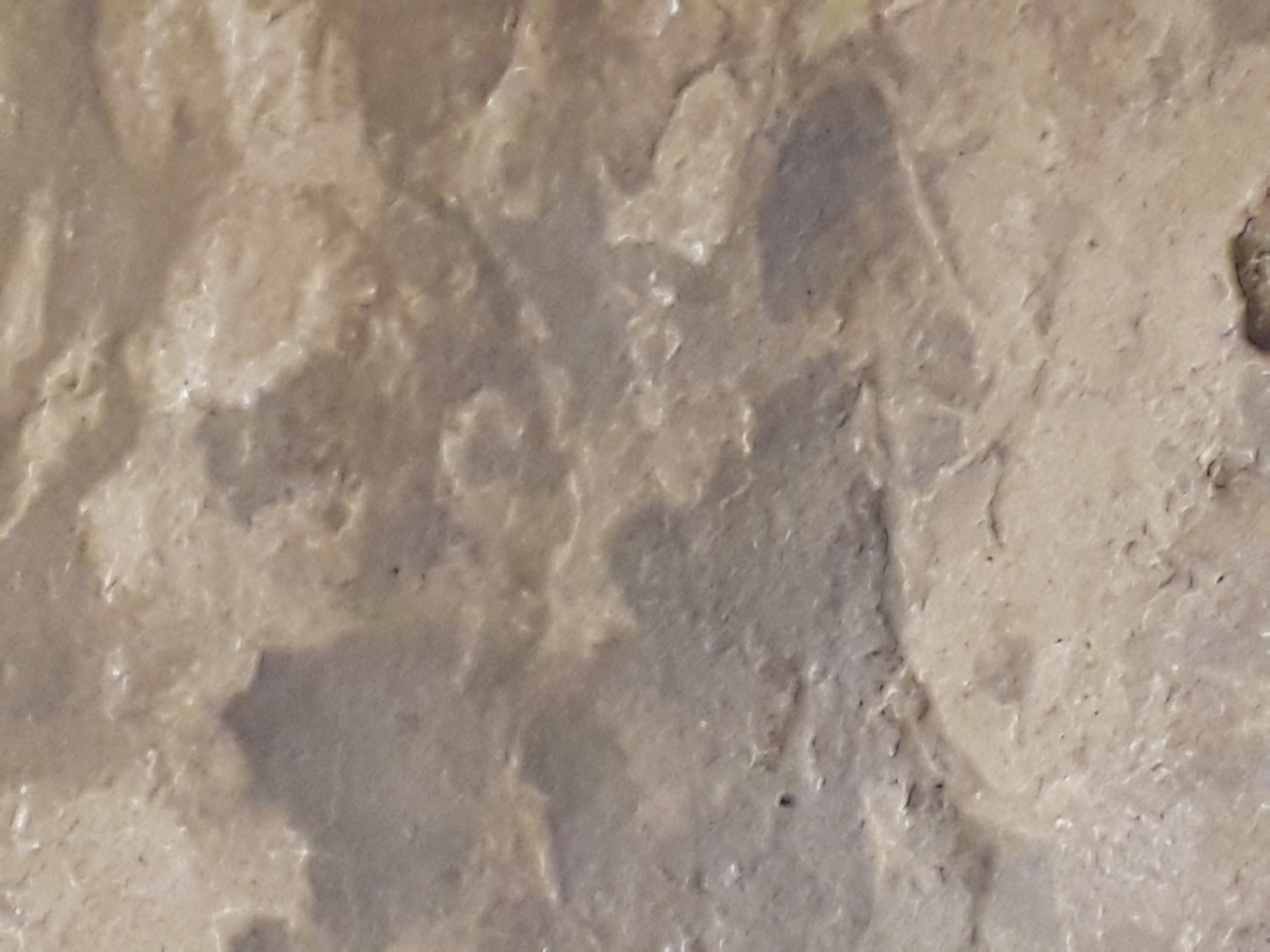 20180816_183006.jpg