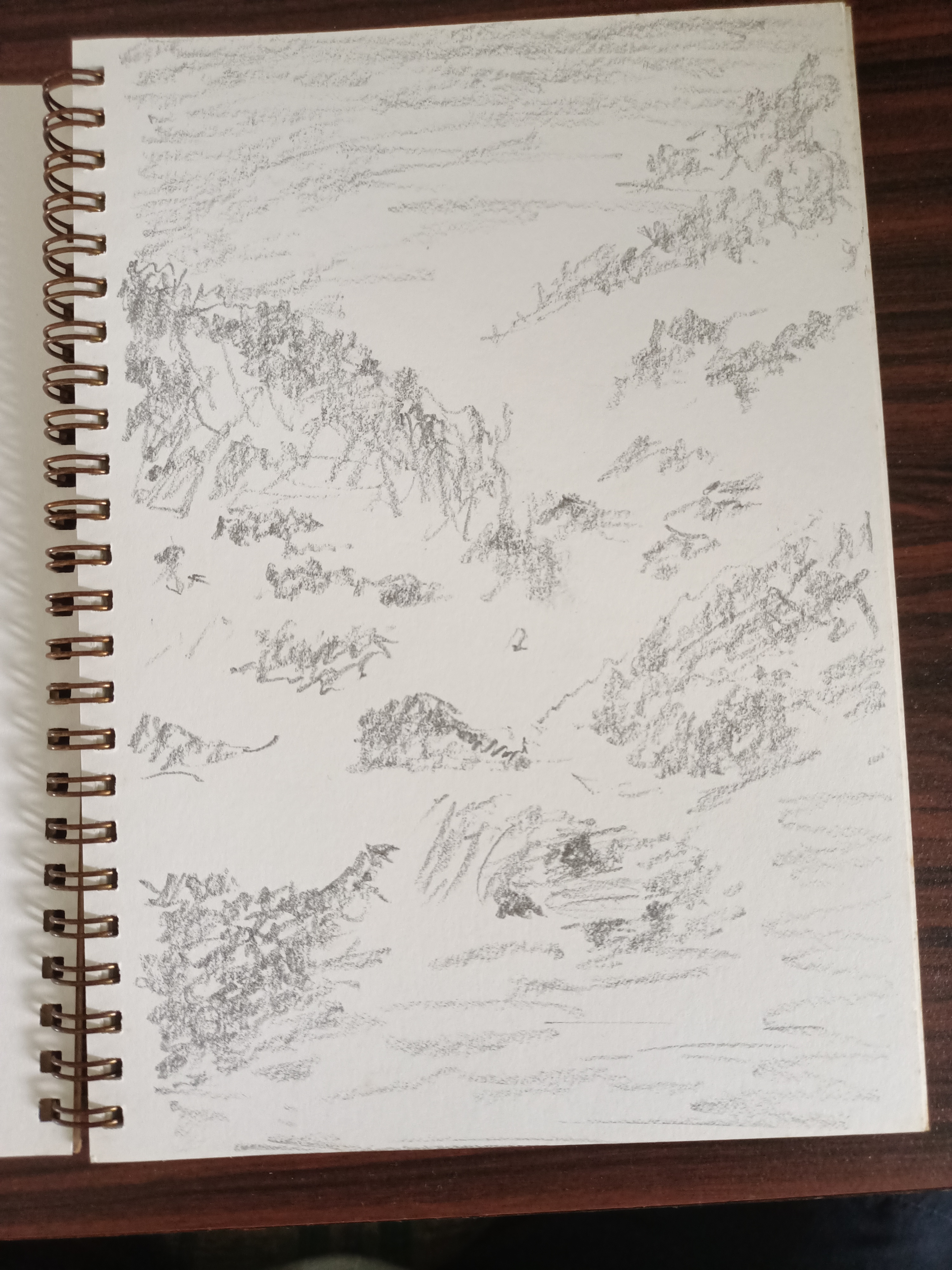 sketch 1.jpg