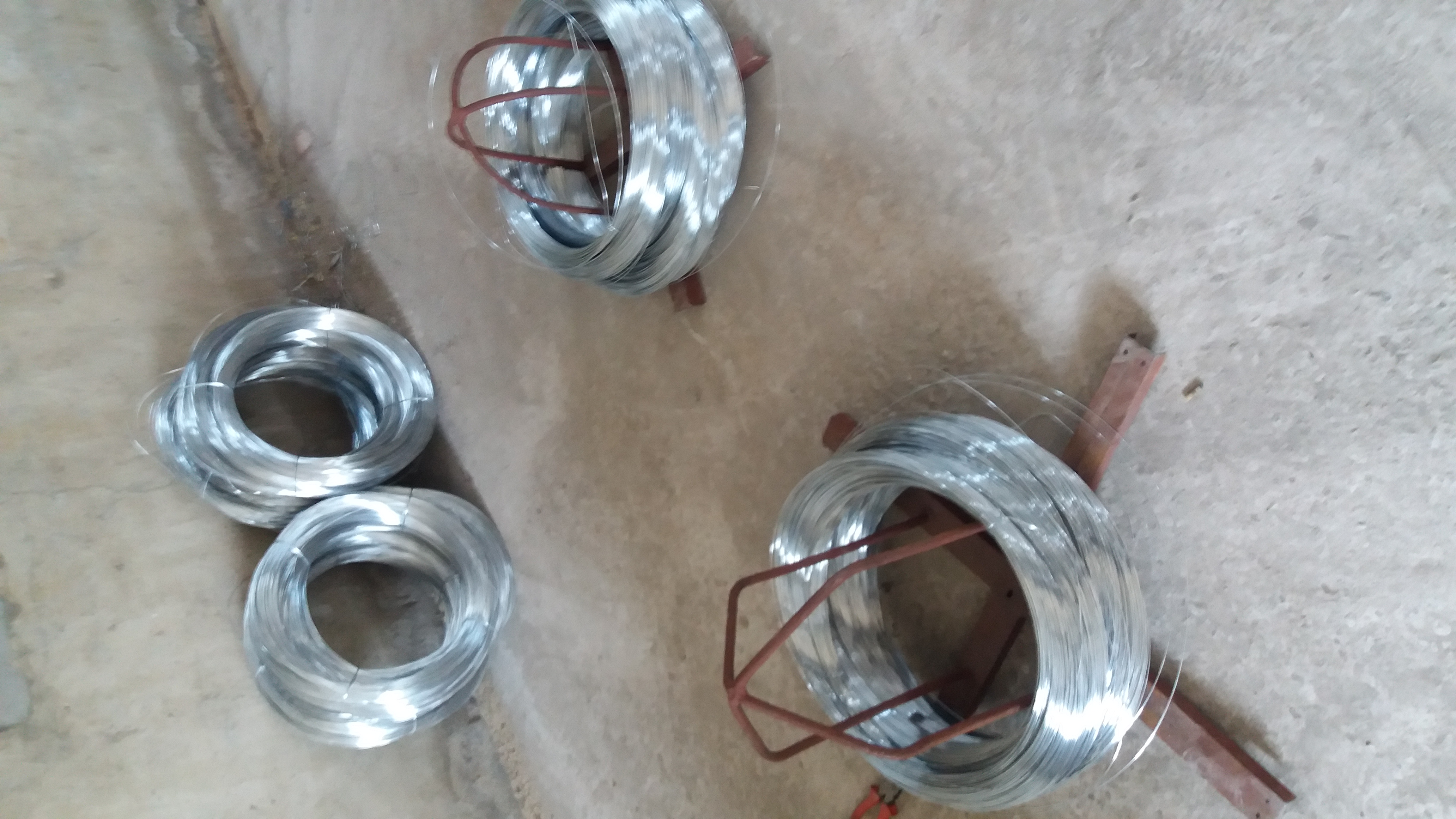 20190211_131134.jpg
