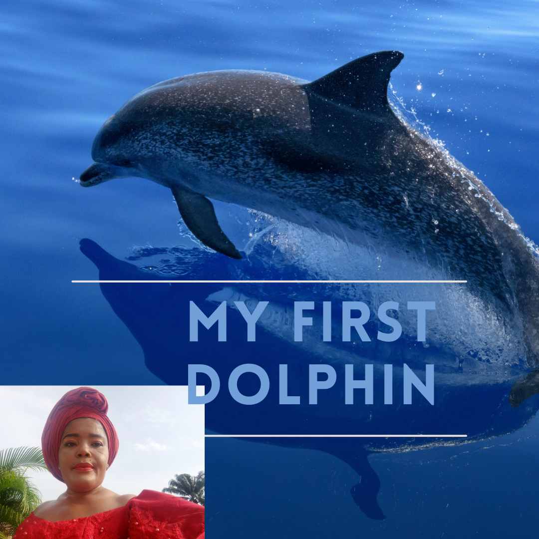 14 April World Dolphin Day Instagram Post_20240331_214638_0000.png