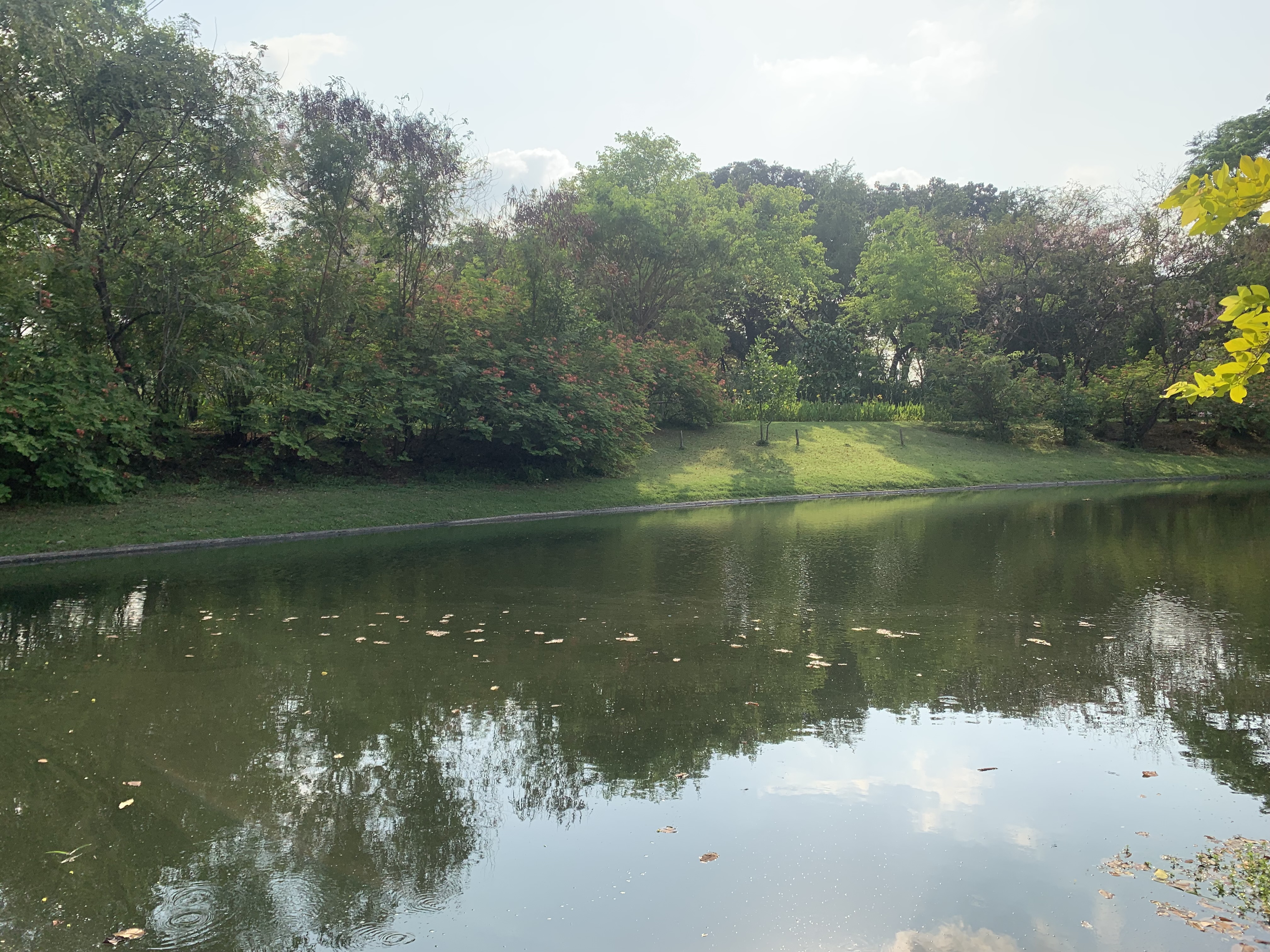Queen Sirikit Park109.jpg