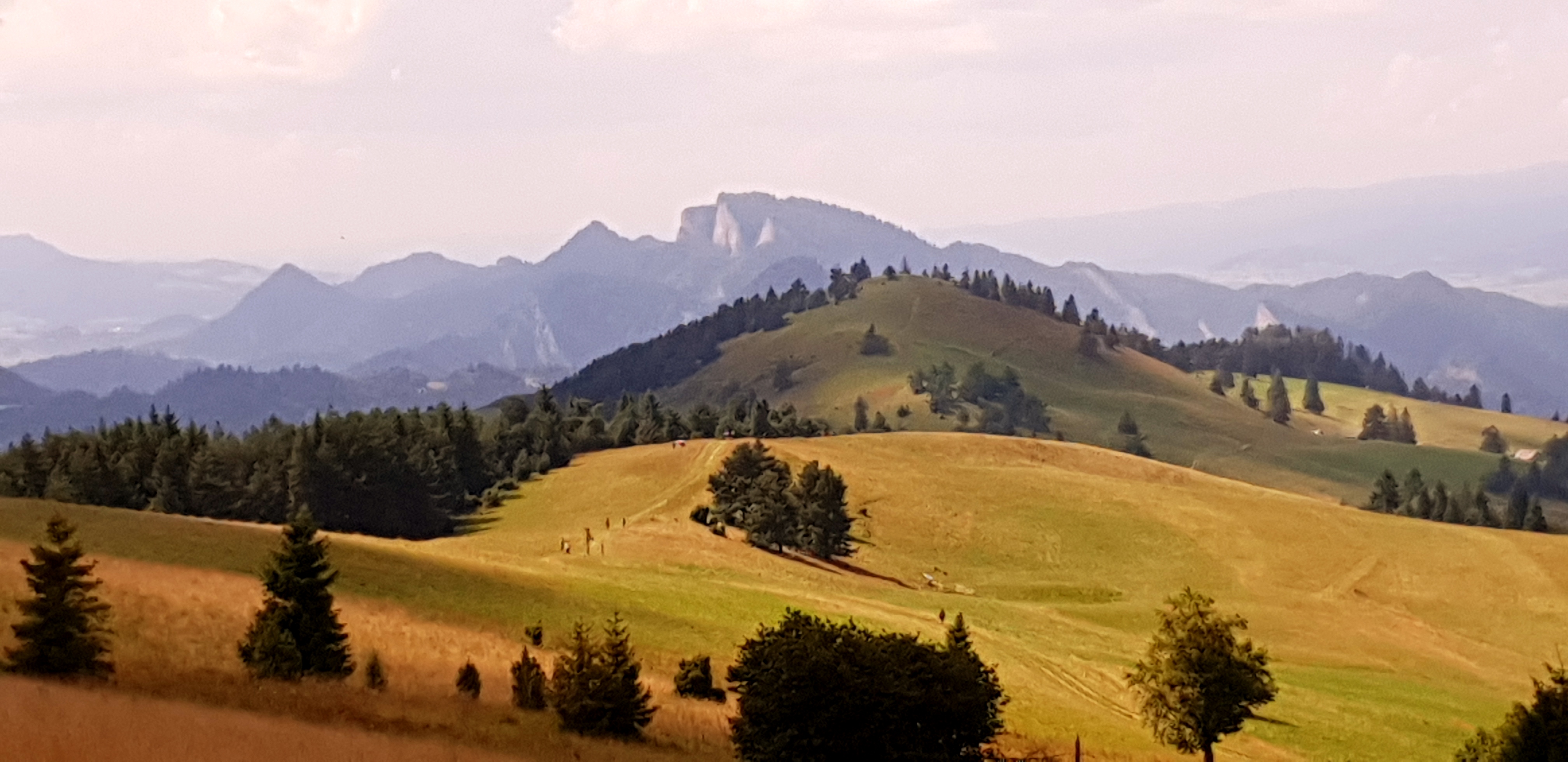 20180728_141222.jpg