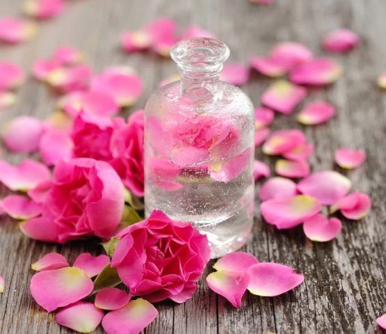 rosewater_1442552278-555x480.jpg