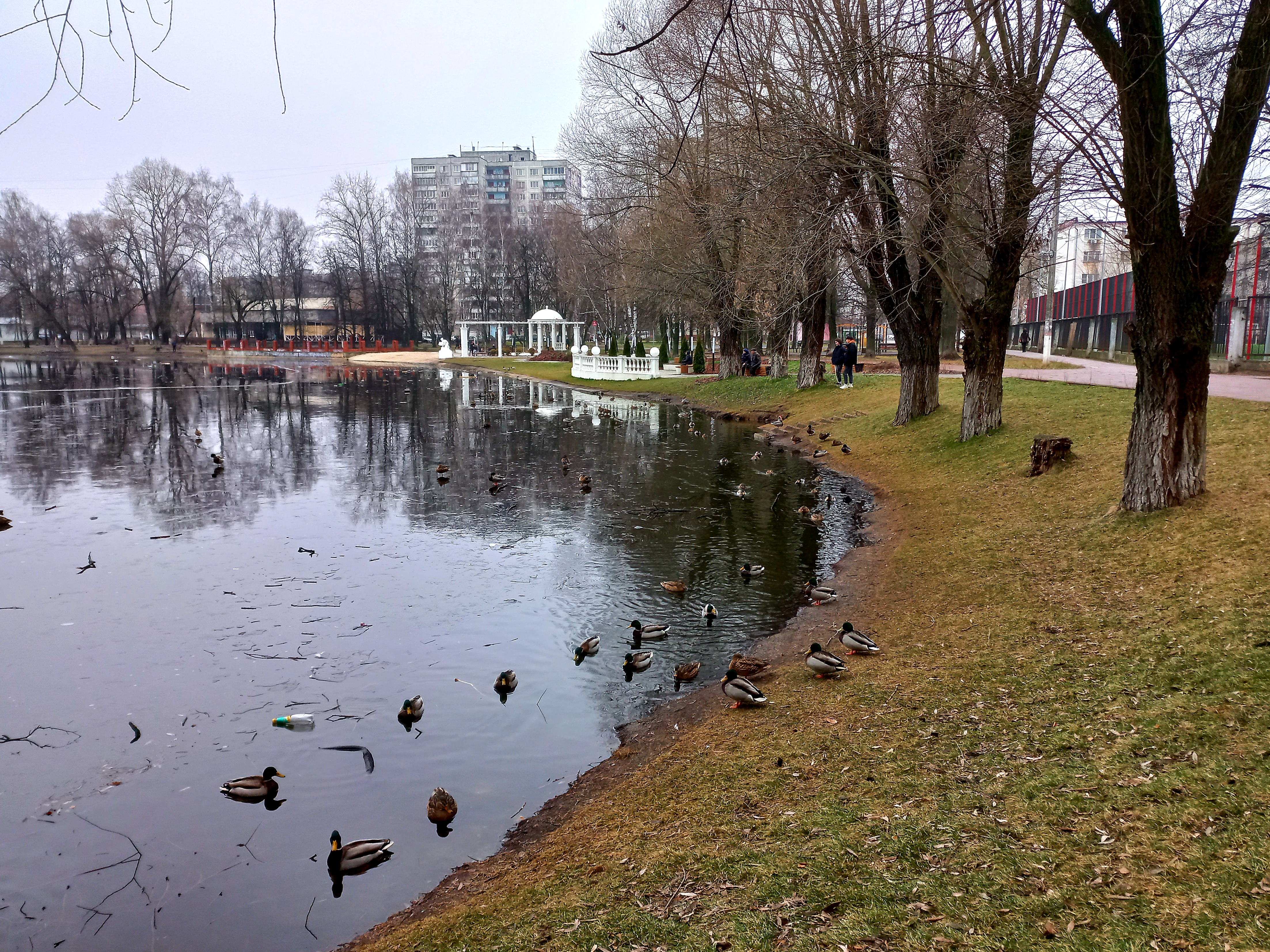 20211129_125221.jpg