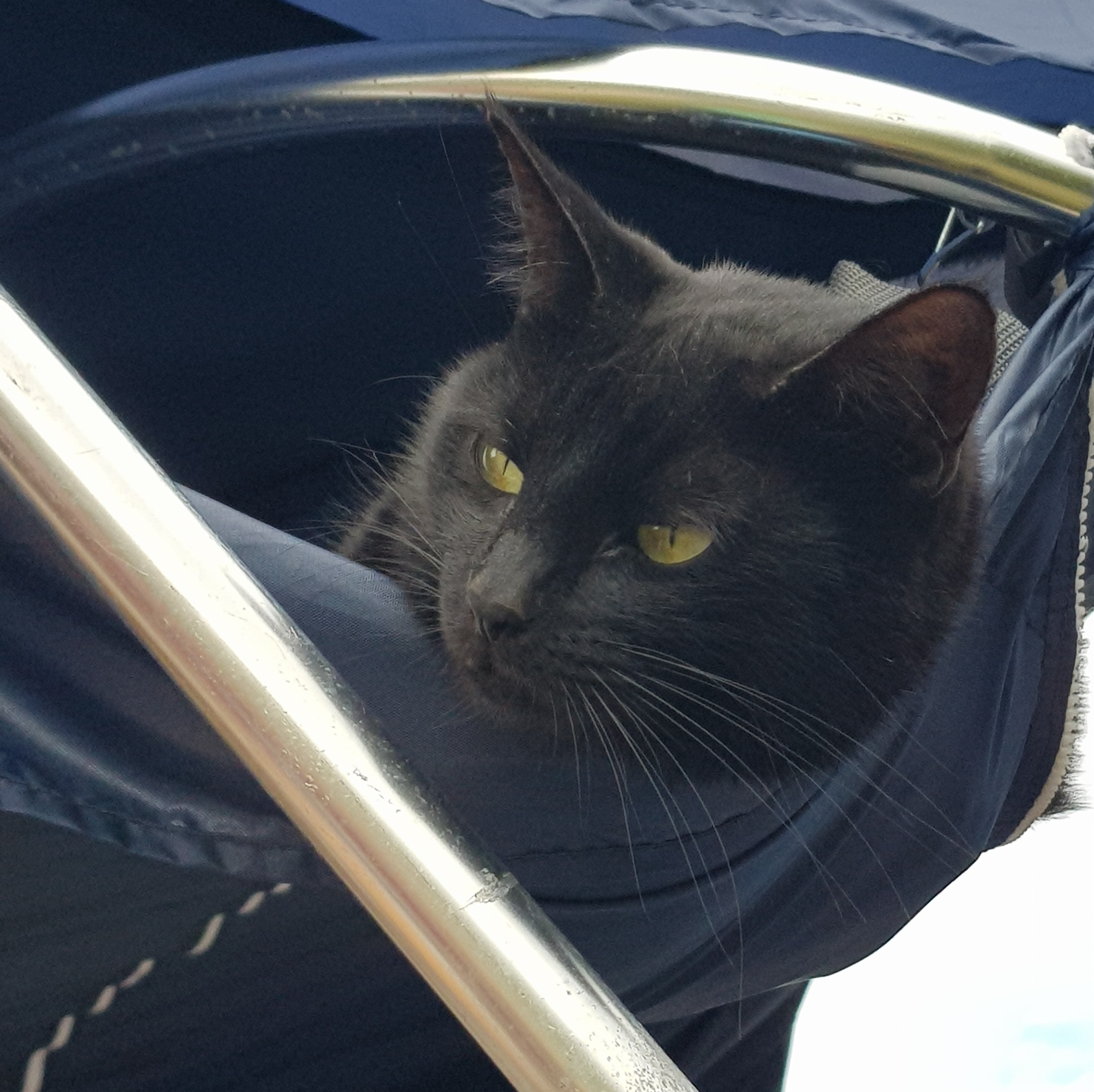 20180603_131259~2.jpg