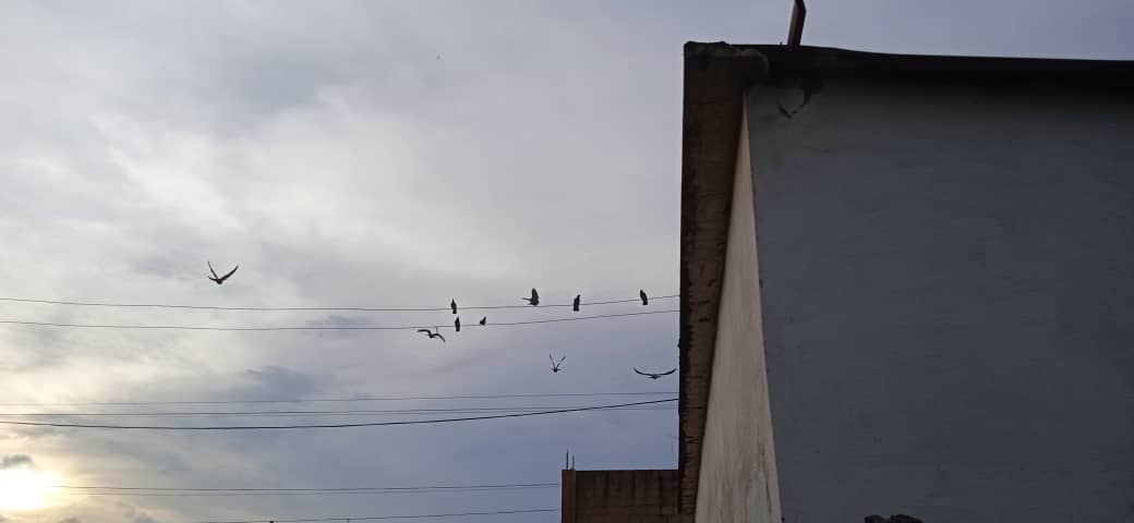 WhatsApp Image 2022-10-22 at 7.13.45 AM.jpeg