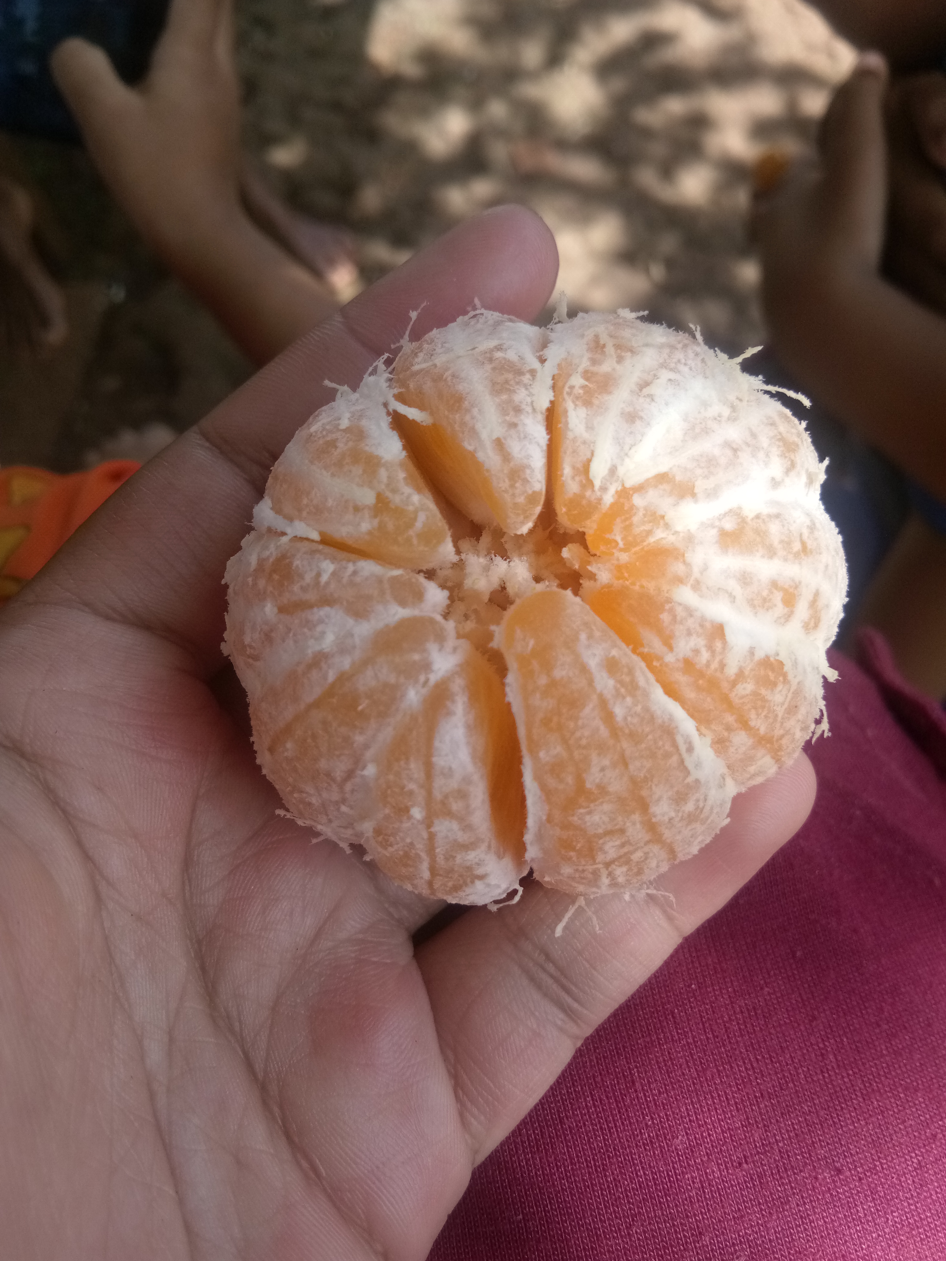 IMG_20220124_101631.jpg