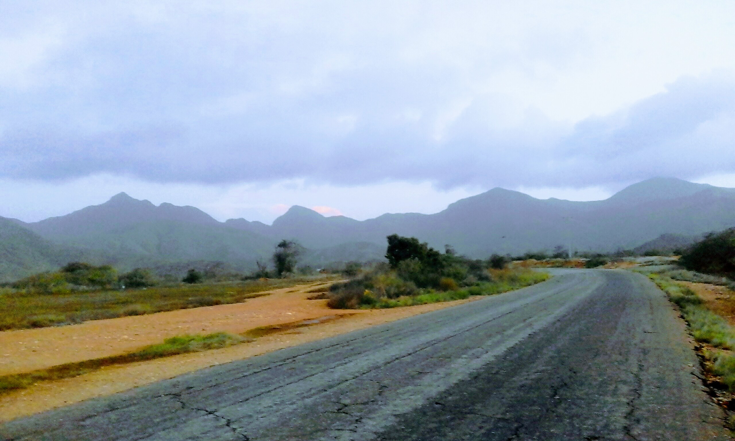 20200702_185038.jpg