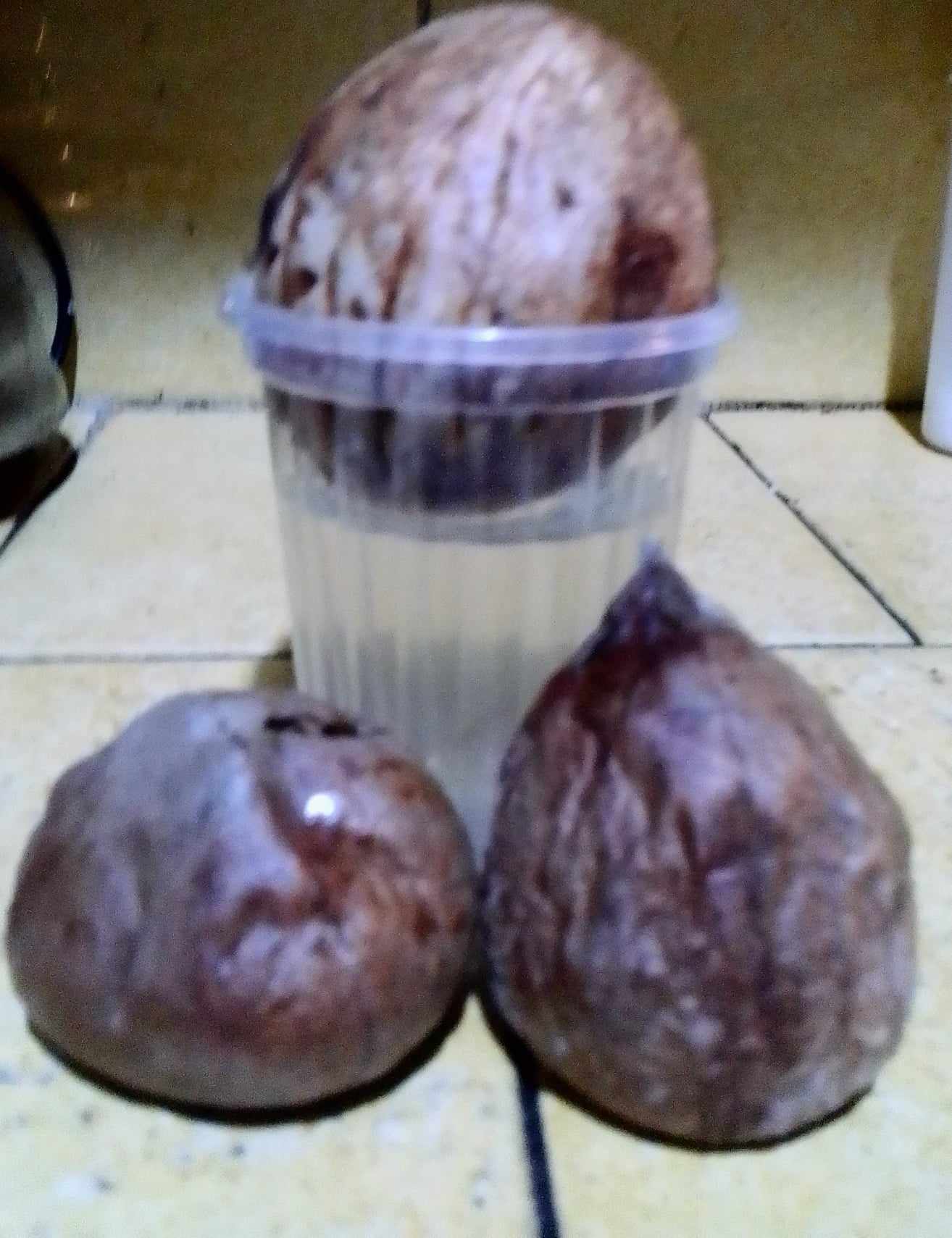 agu6.jpg