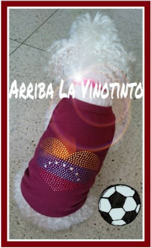 chispa13.JPG