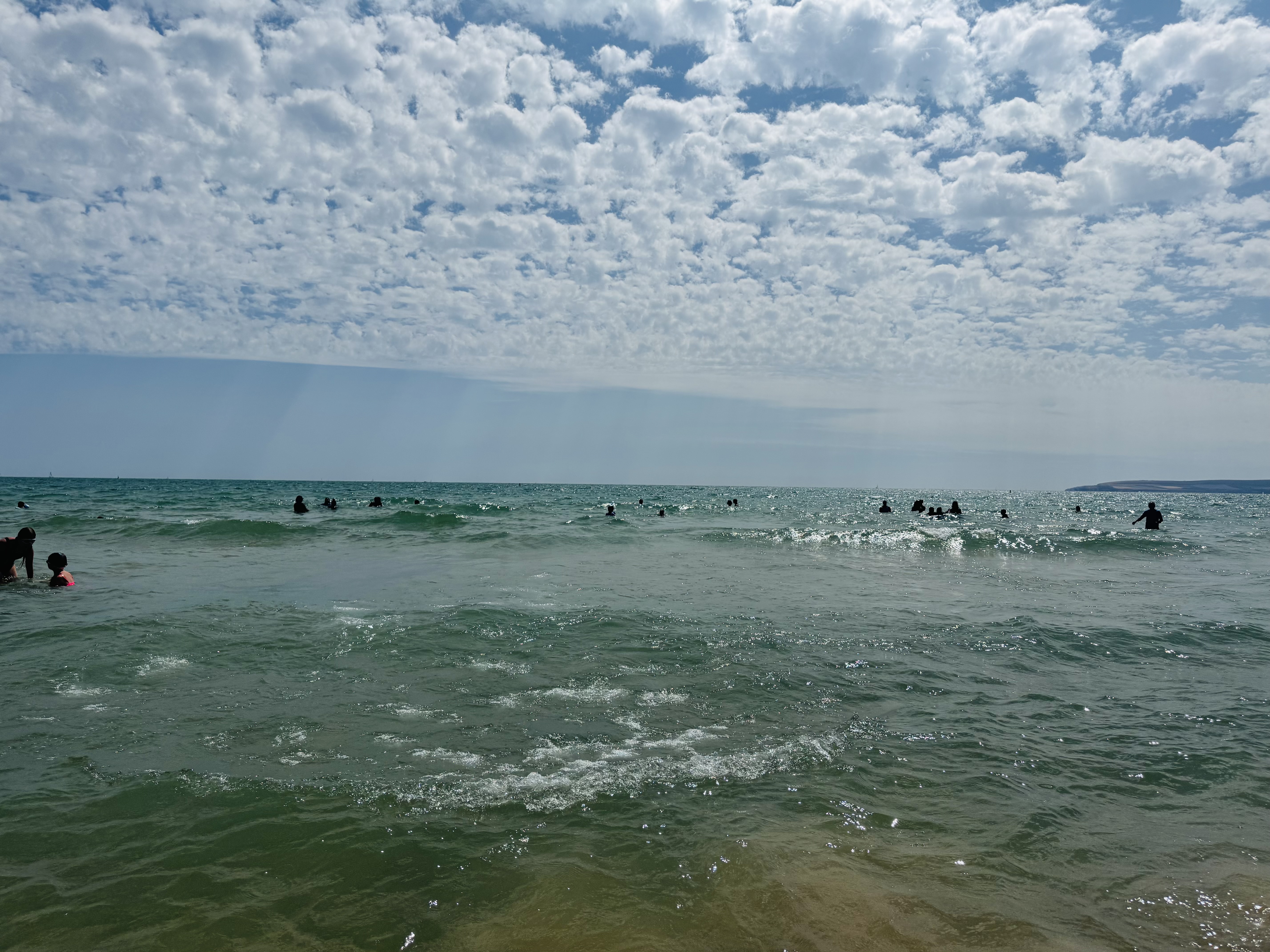 IMG_3921.jpeg