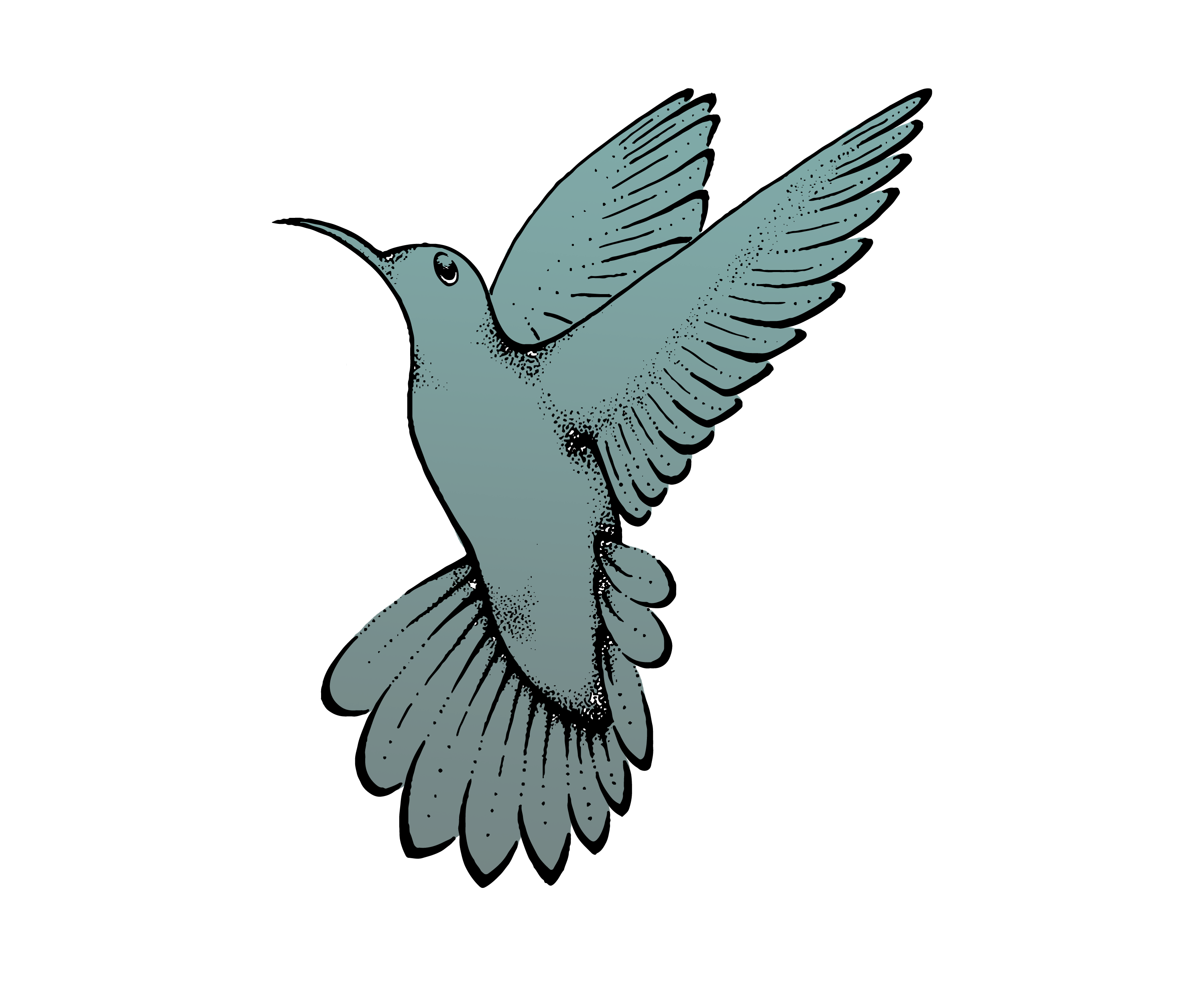 hum(traced-exp).png
