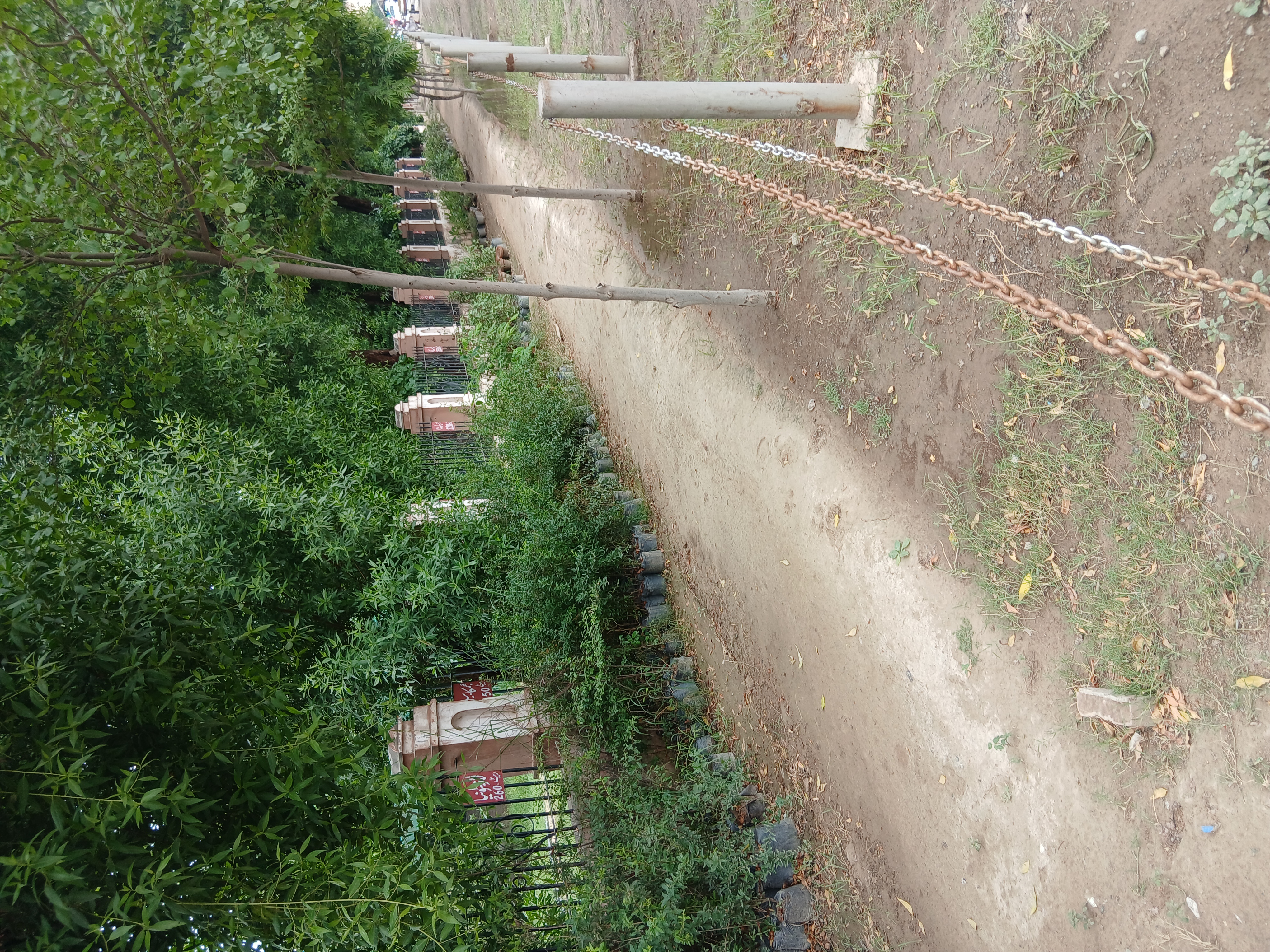 1000084923.jpg