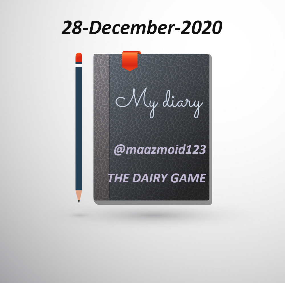 Diary.jpg
