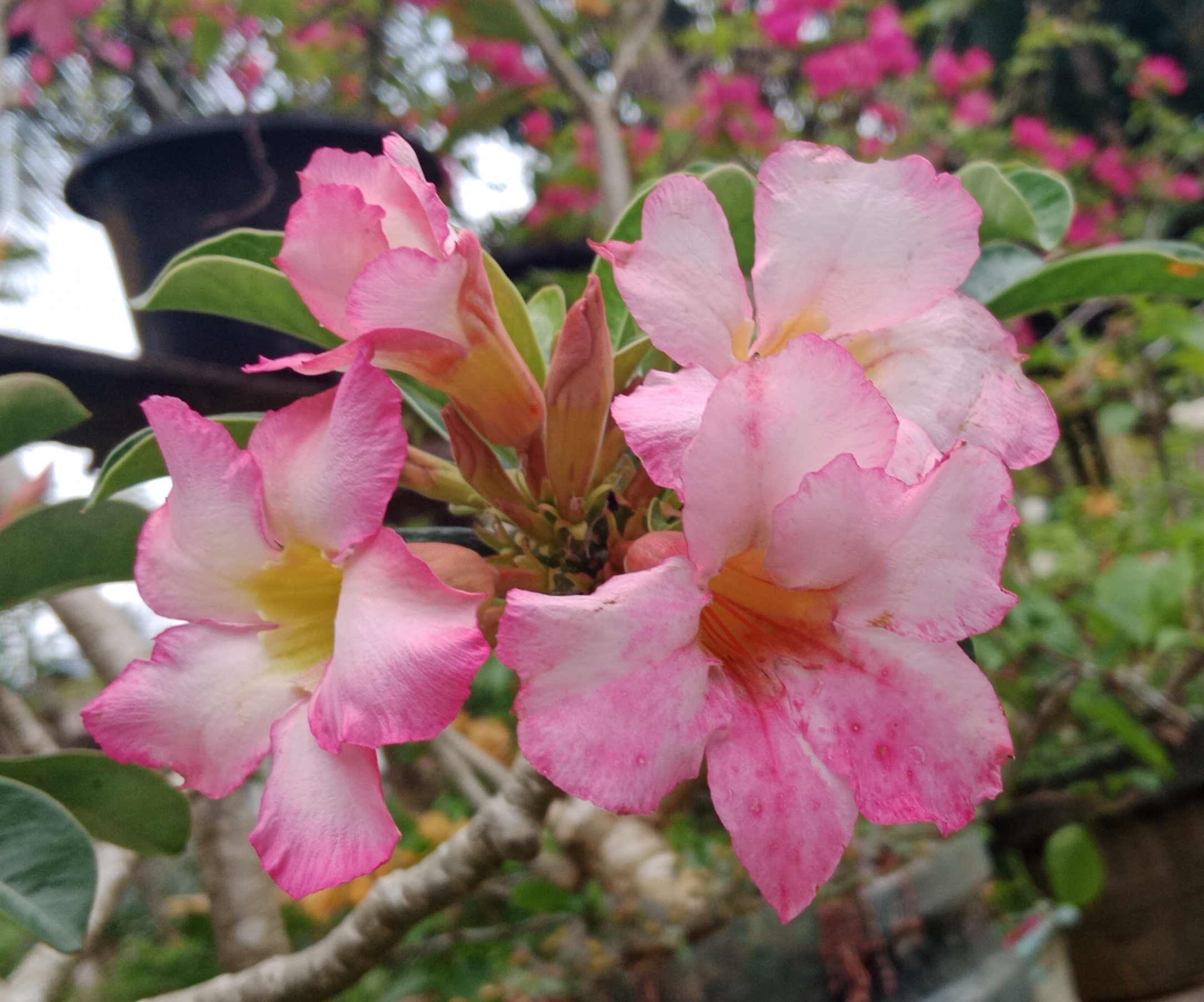 IMG_20220125_223410.jpg