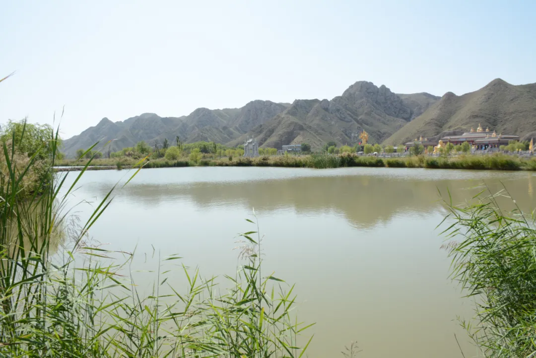 640 (21).webp