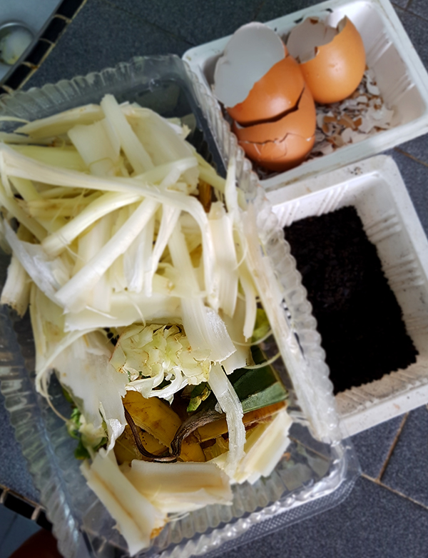 Compost04.jpg