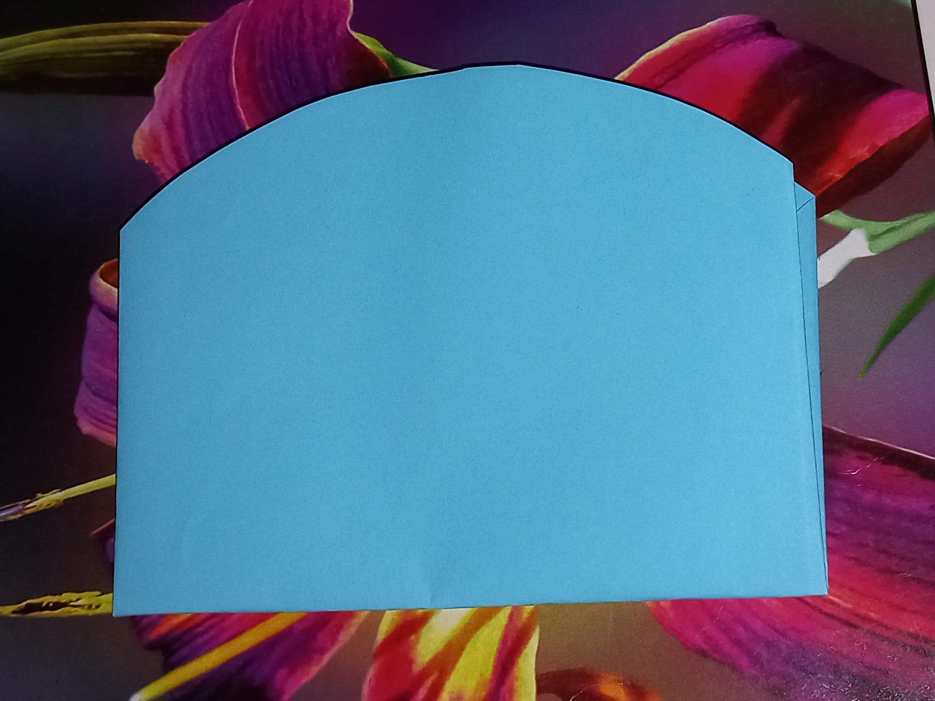 20250412_141327.jpg