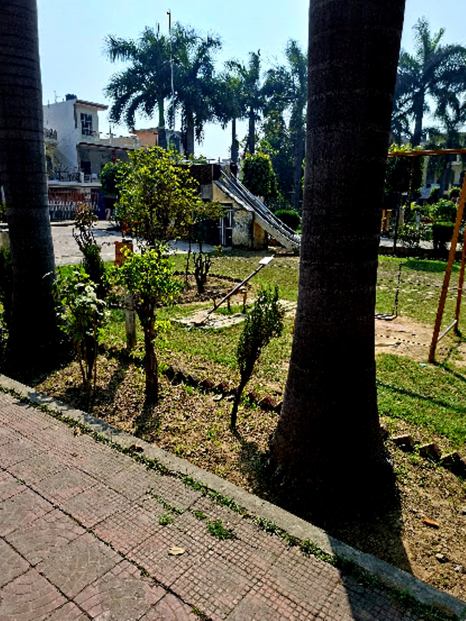 20250226_102634.jpg