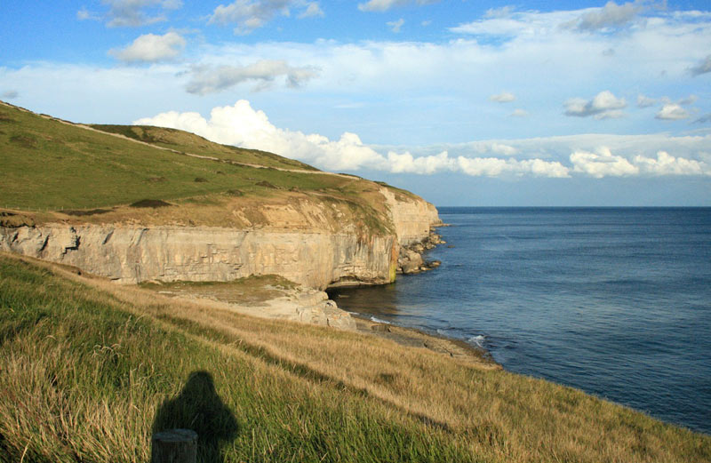 photo 69.jpg