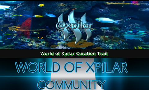Xpilar.png