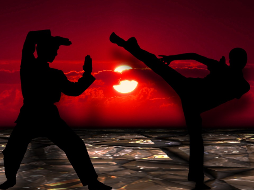 martial-arts-291049_960_720.jpg