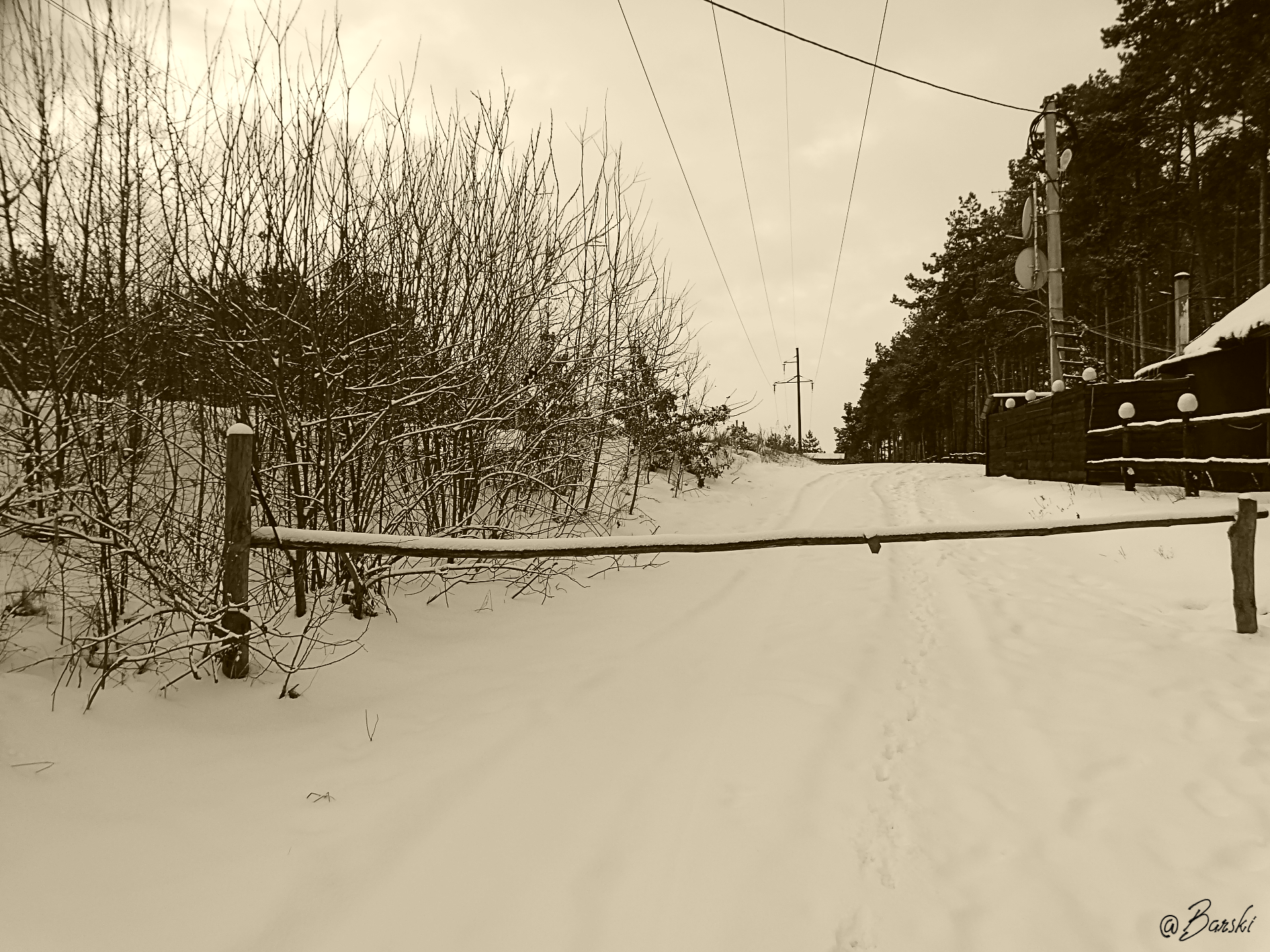 1wertDSC06753 (1).png