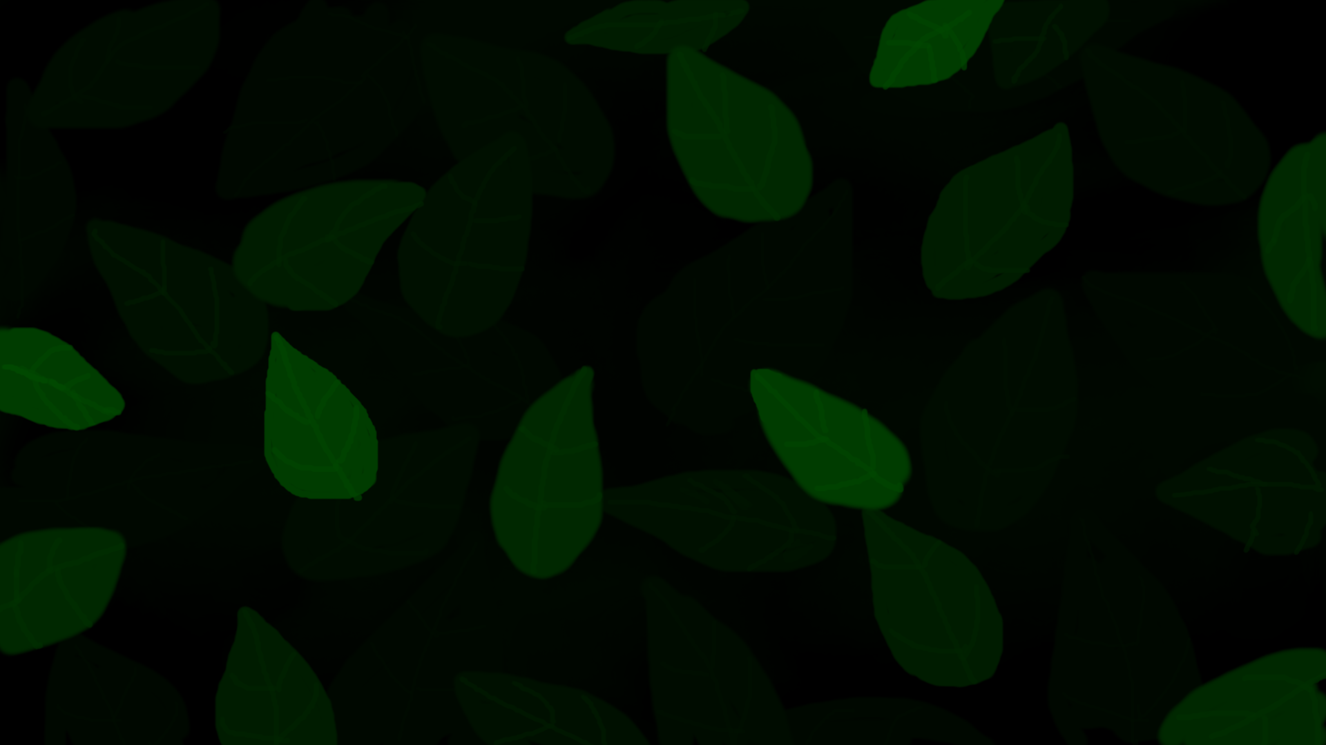 8.png