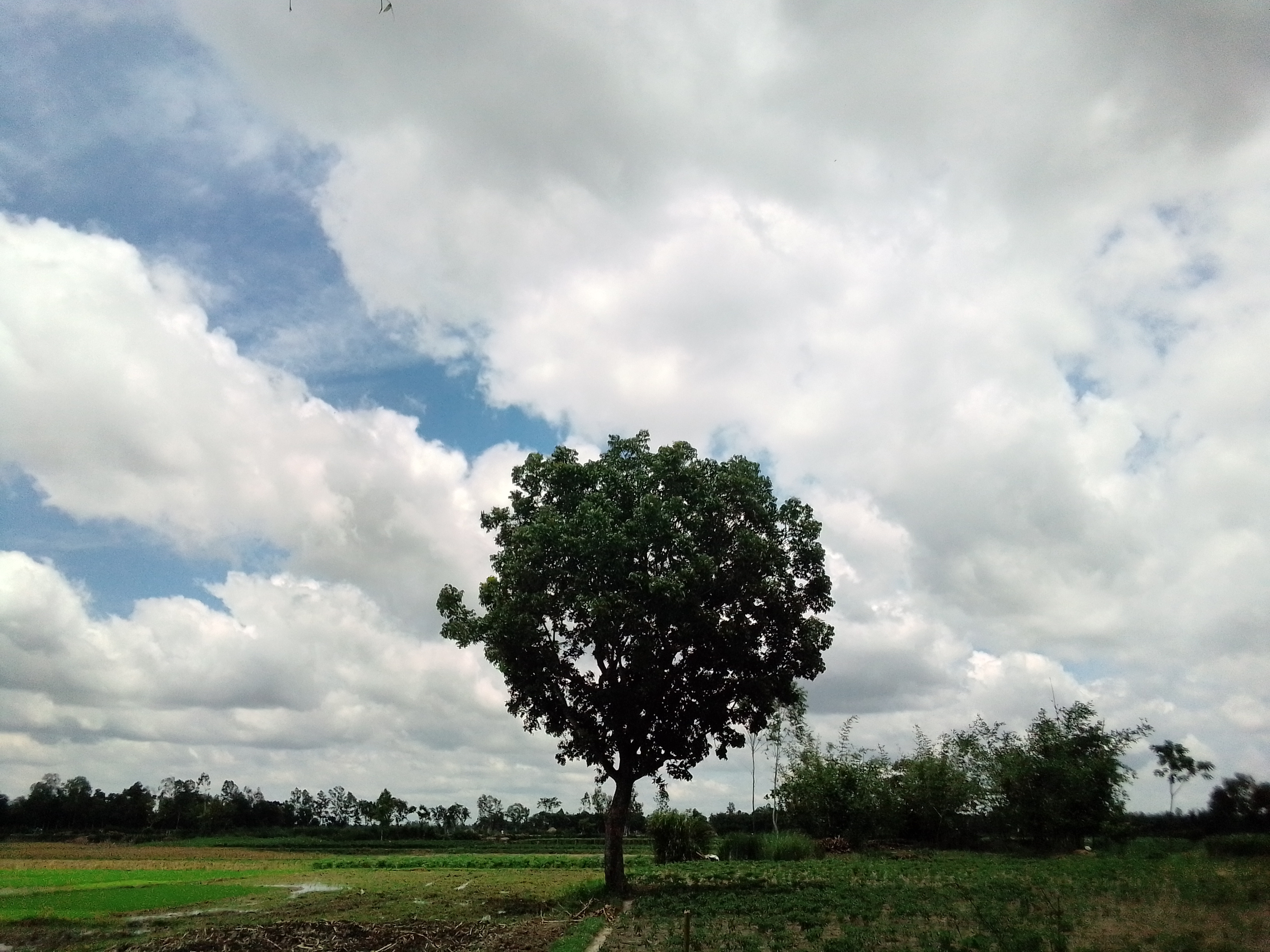 IMG_20210613_125236.jpg