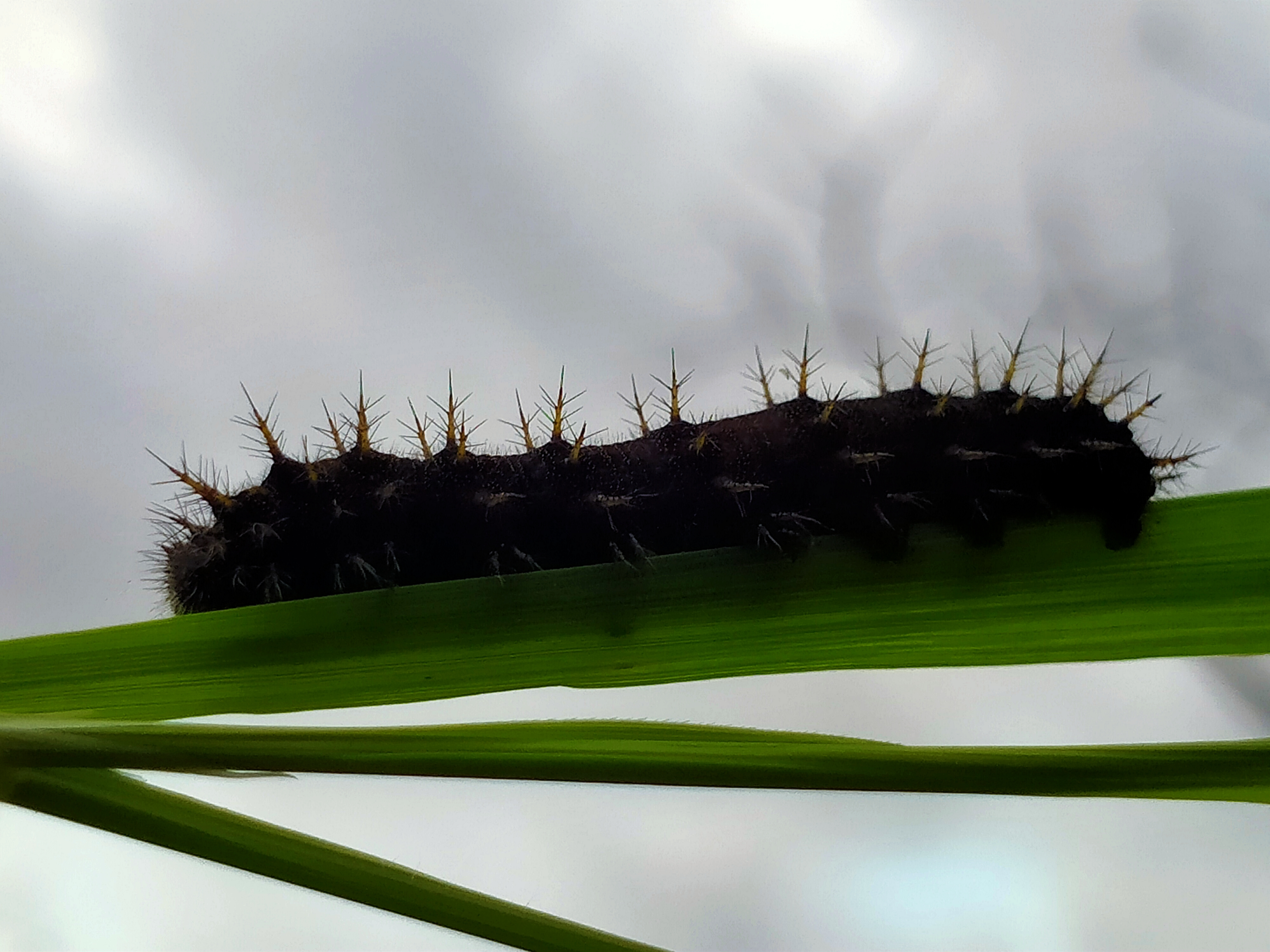 IMG_20240129_211842.jpg